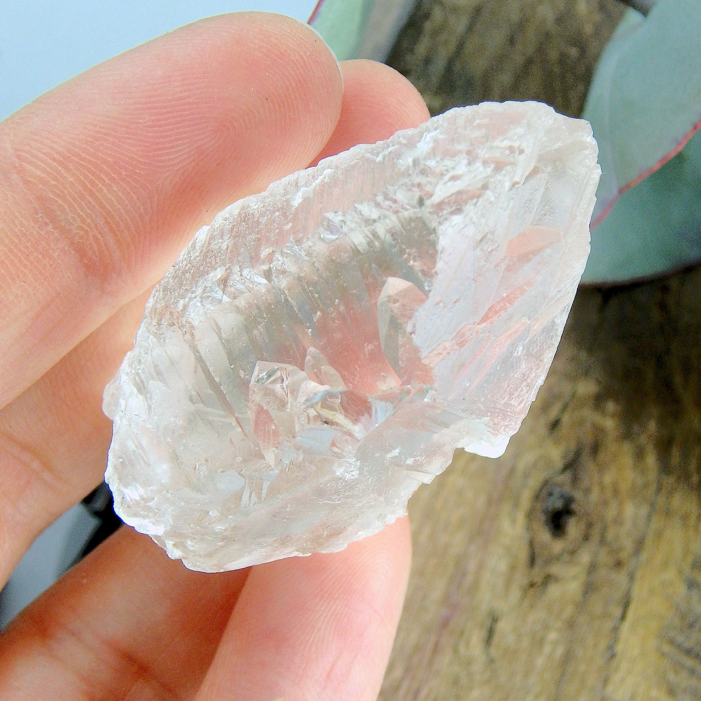 High Vibe~Peak Elestial Point & Record Keepers Gemmy Clear Nirvana Ice Quartz Point