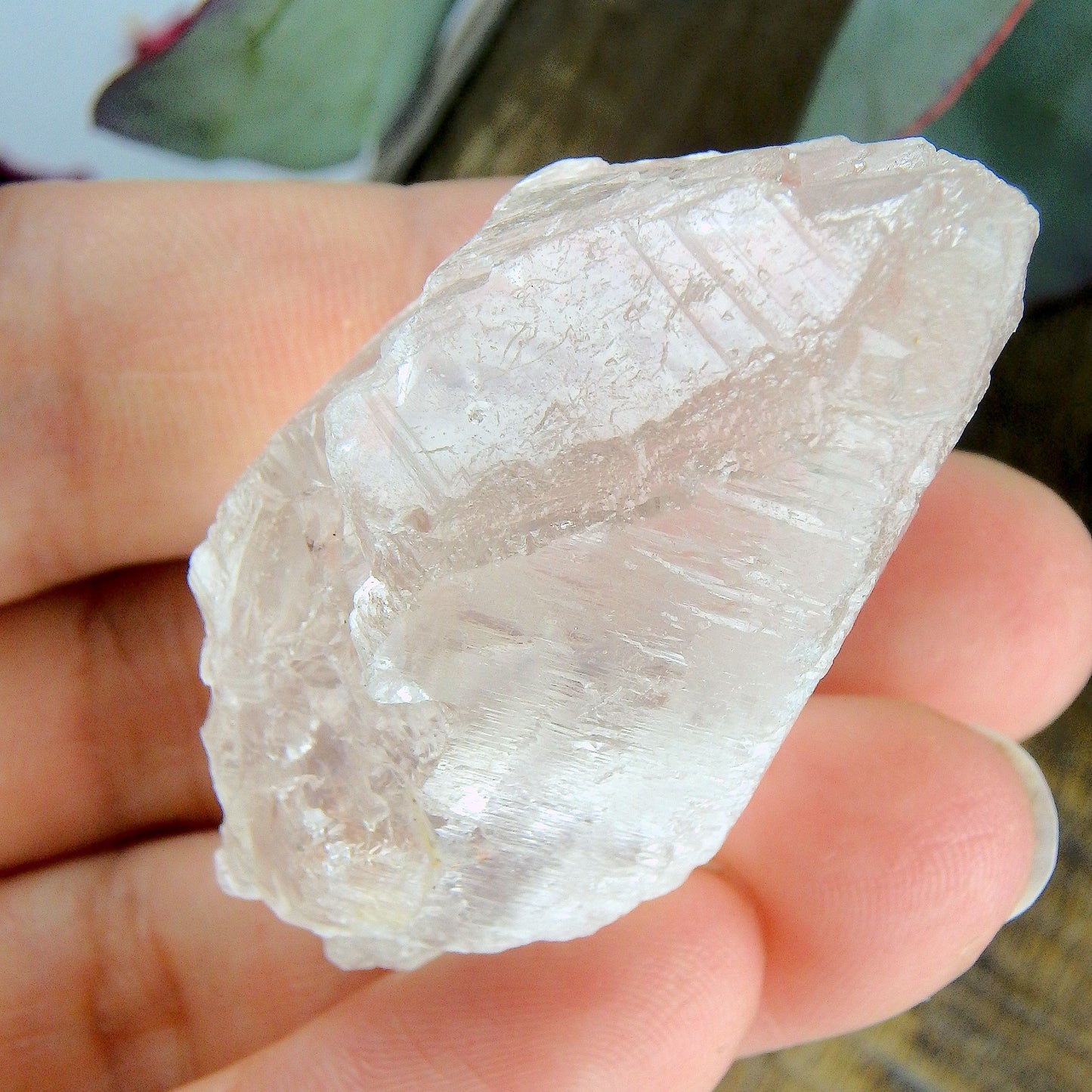 High Vibe~Peak Elestial Point & Record Keepers Gemmy Clear Nirvana Ice Quartz Point