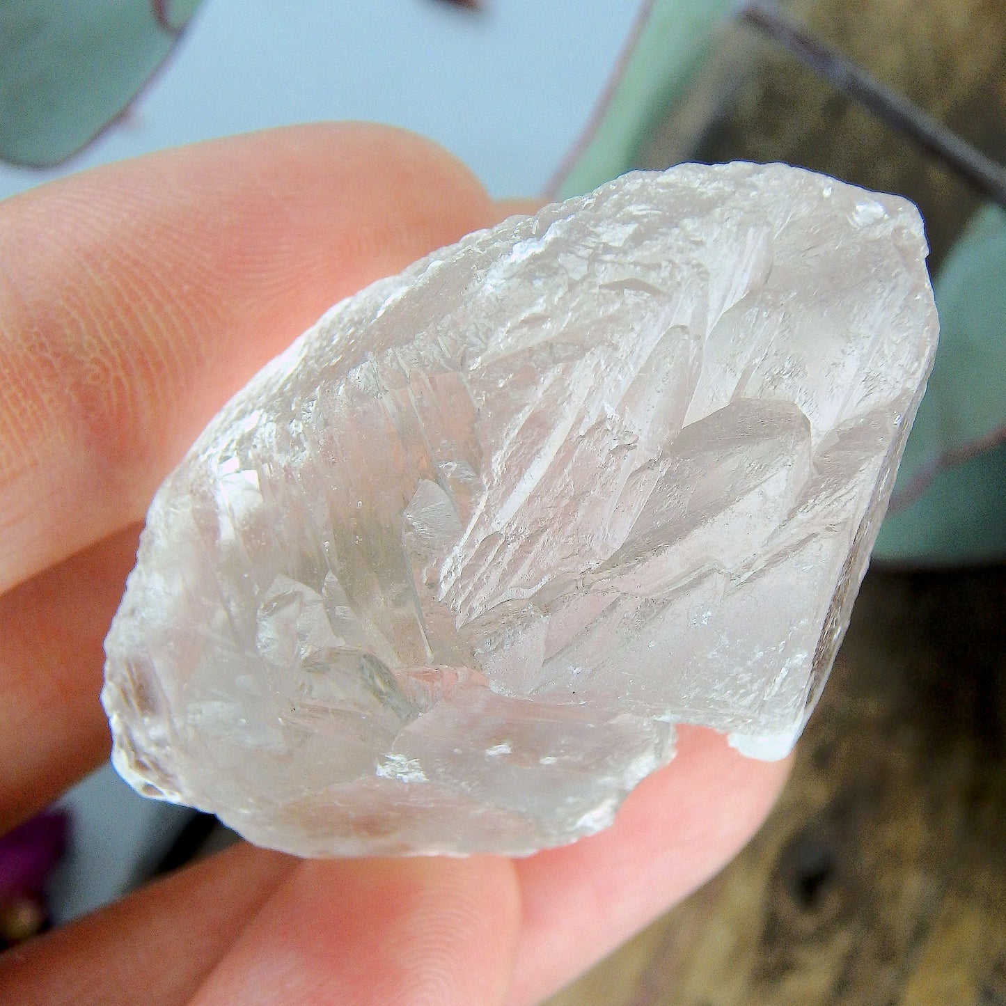 High Vibe~Peak Elestial Point & Record Keepers Gemmy Clear Nirvana Ice Quartz Point