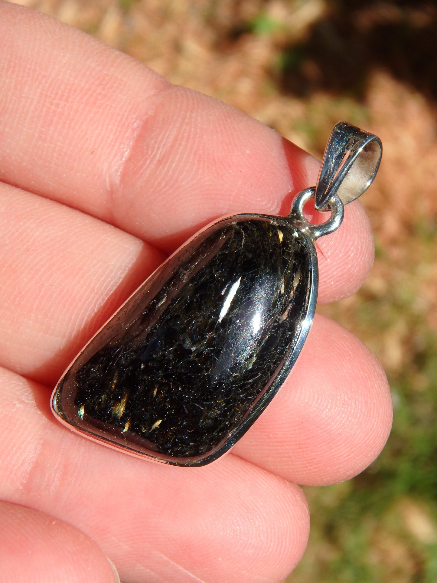 Majestic Greenland Nuummite Pendant in Sterling Silver (Includes Silver Chain) - Earth Family Crystals