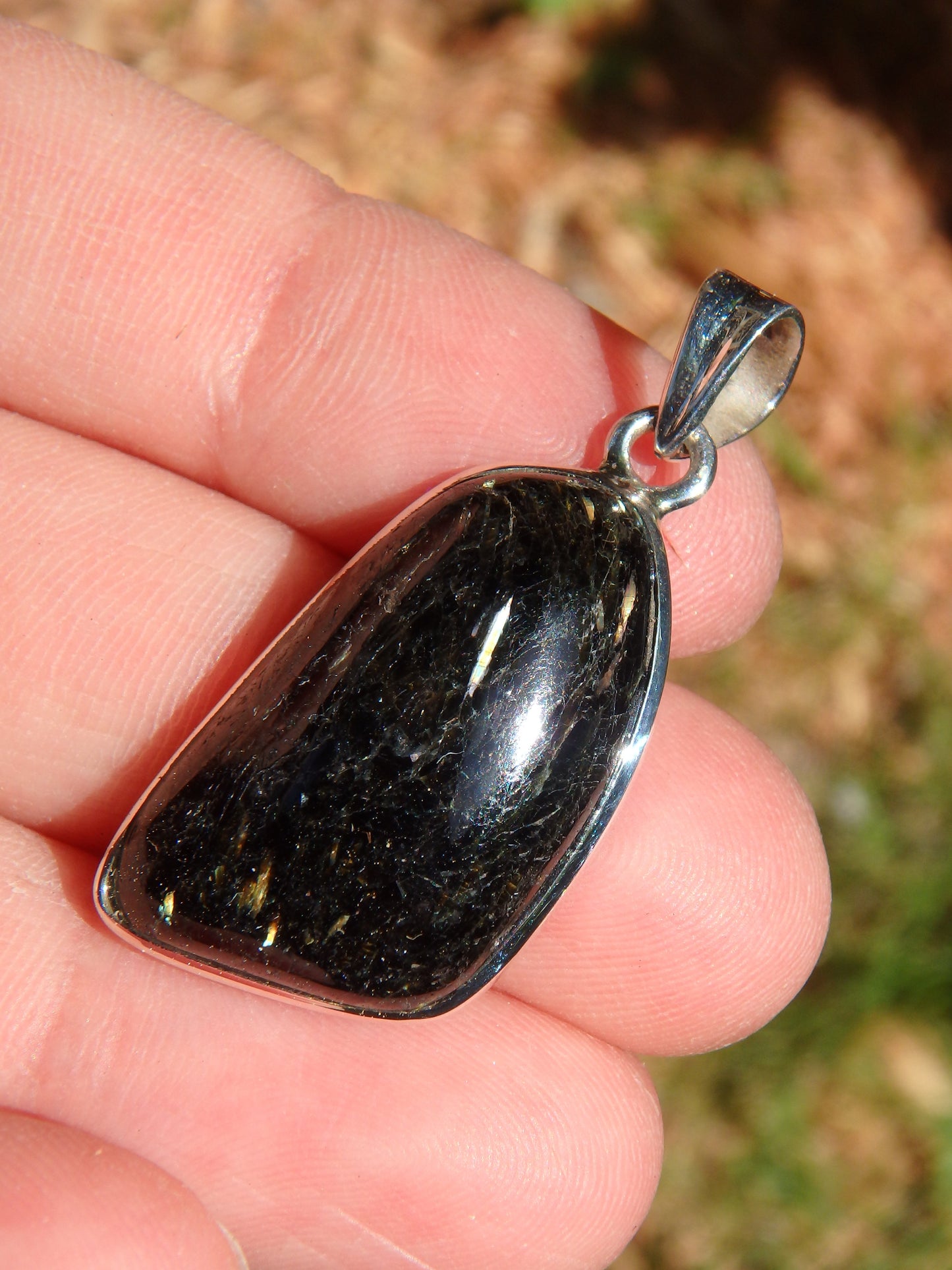 Majestic Greenland Nuummite Pendant in Sterling Silver (Includes Silver Chain) - Earth Family Crystals