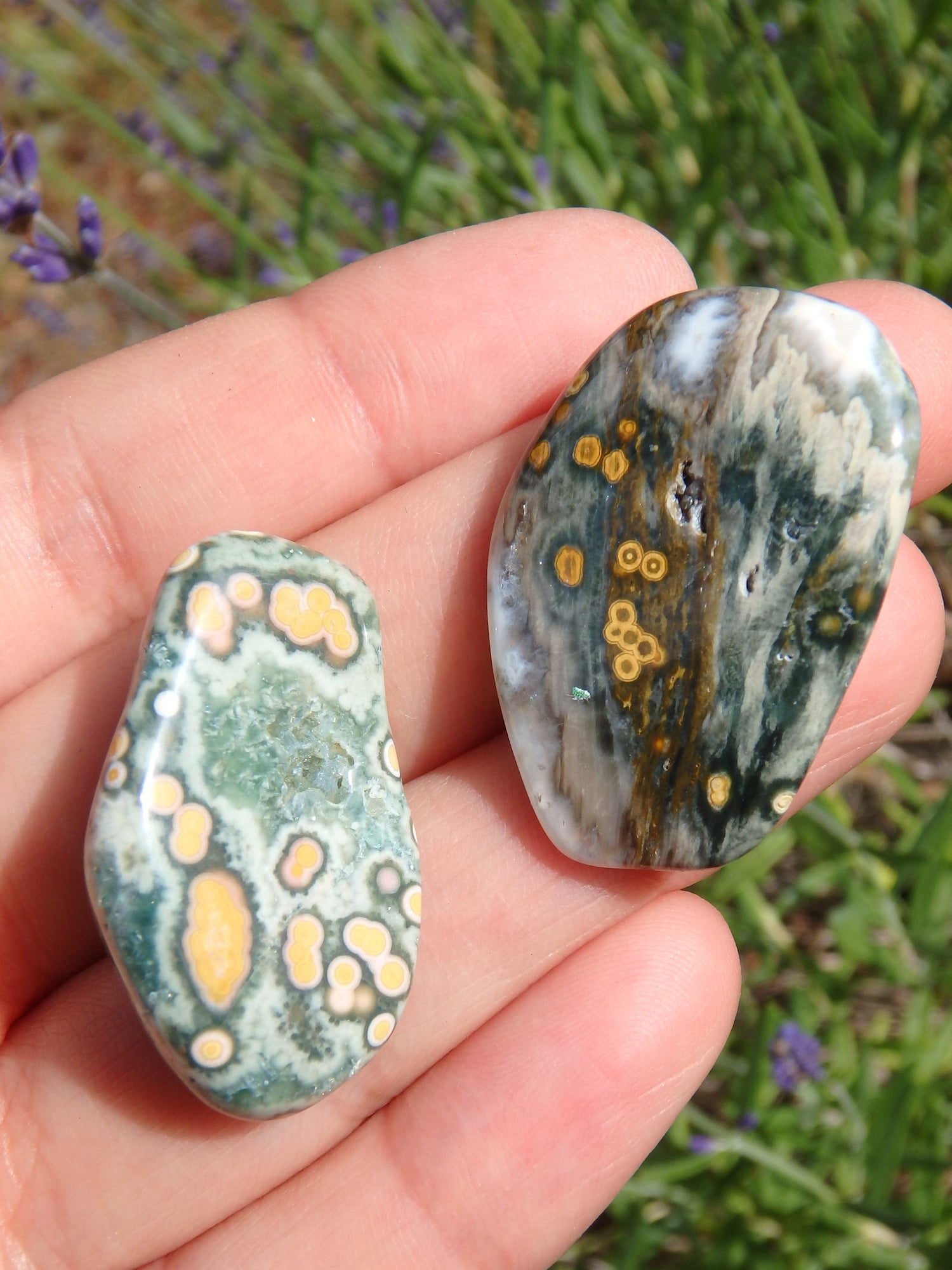 Set of 2 Pretty Orbs of Color Ocean Jasper Tumble Stones - Metiz Tier Price