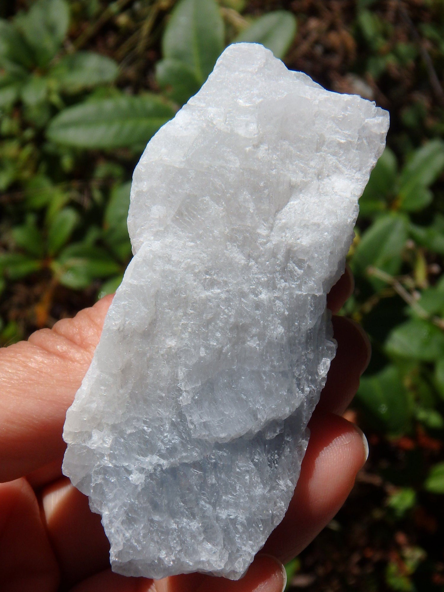  Chunky Ohio Celestite Raw Hand Held Specimen1