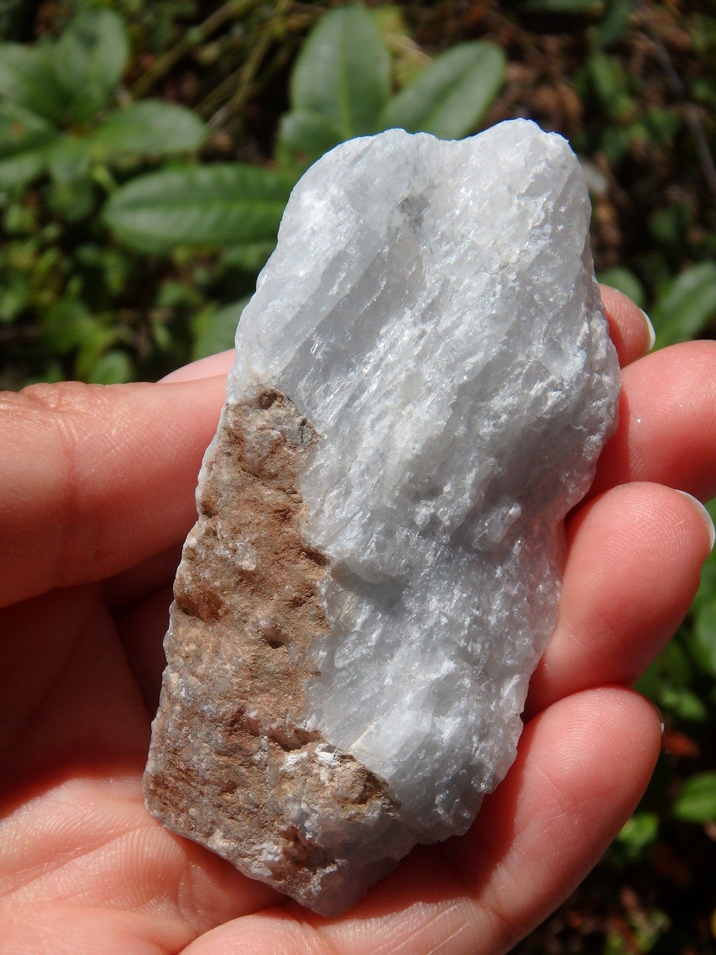  Chunky Ohio Celestite Raw Hand Held Specimen1