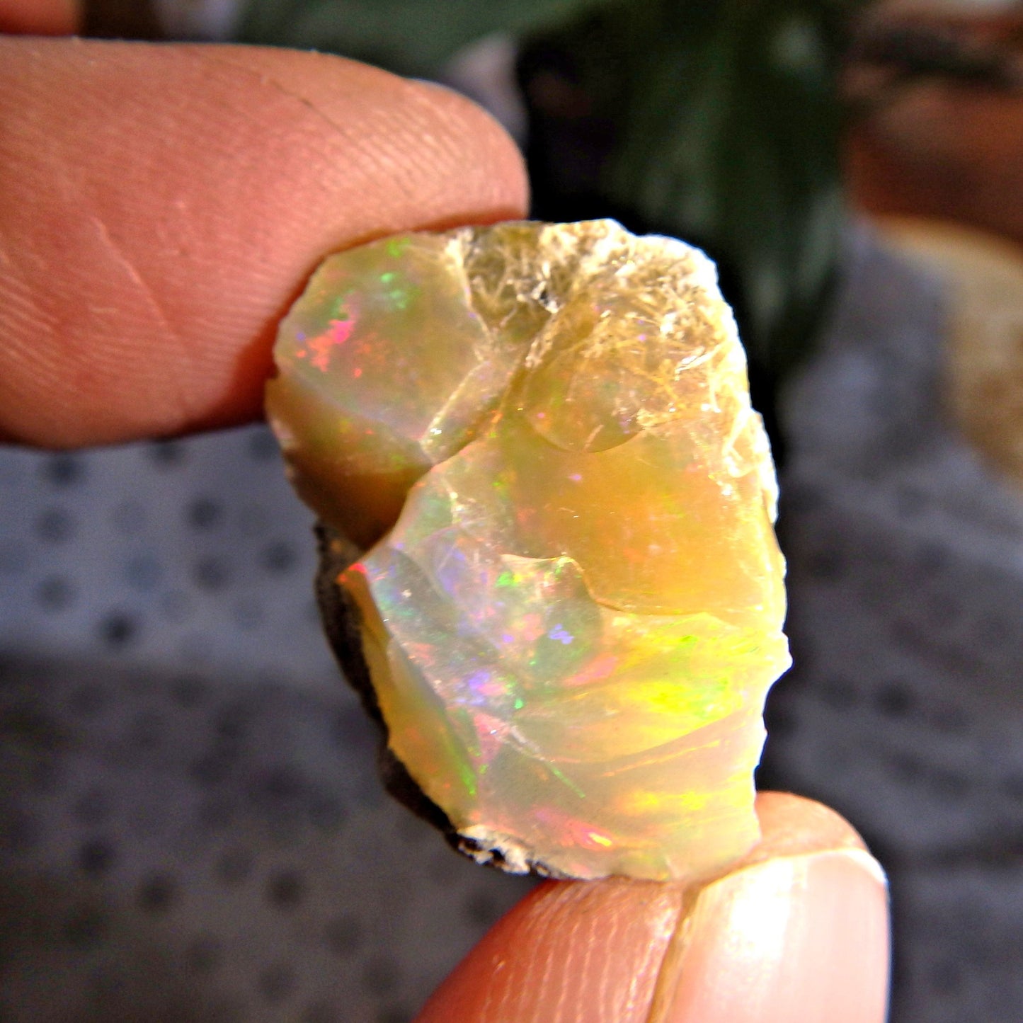 Gorgeous Rainbow of Color Ethiopian Raw Opal Collectors Specimen - Earth Family Crystals