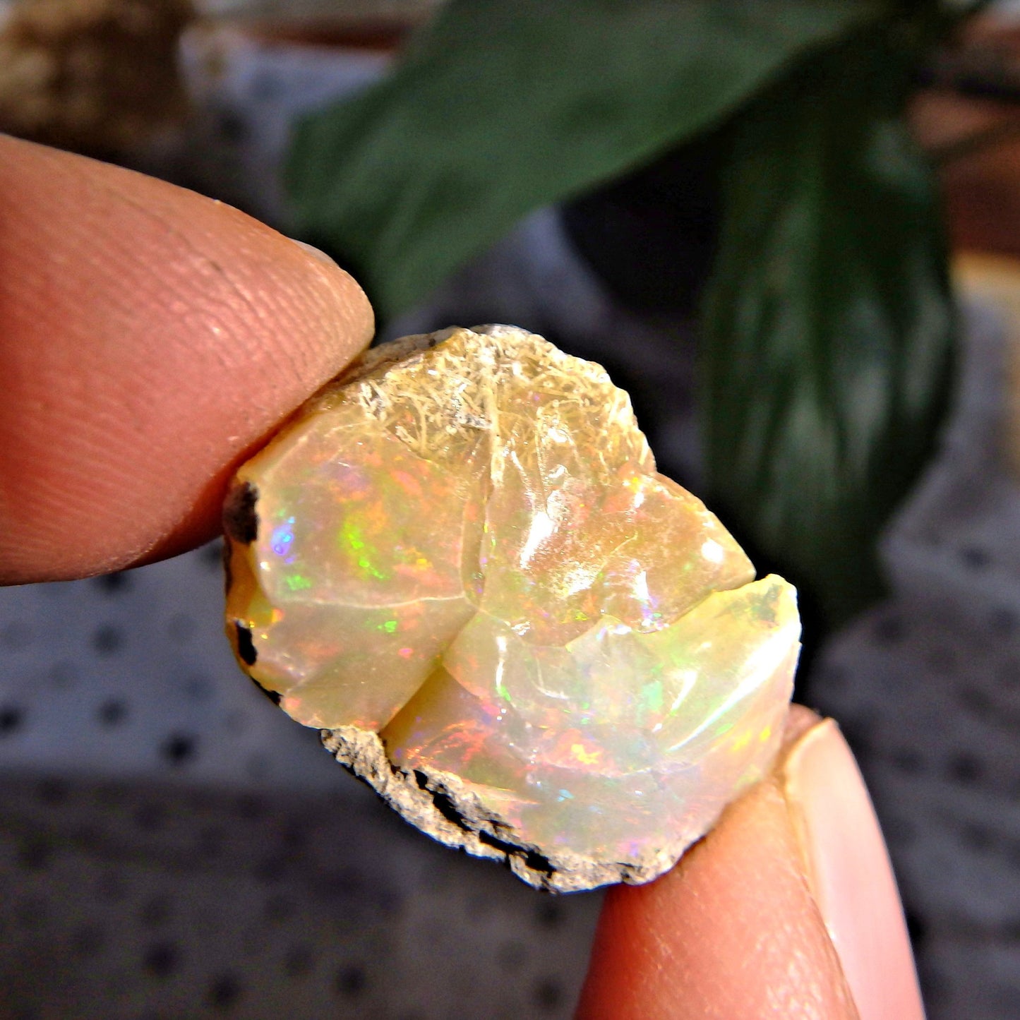 Gorgeous Rainbow of Color Ethiopian Raw Opal Collectors Specimen - Earth Family Crystals