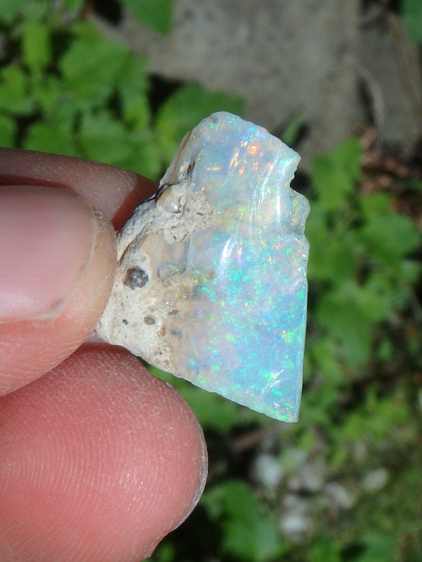  Brilliant Sparkle Raw Ethiopian Opal Dainty & Flat Collectors Specimen