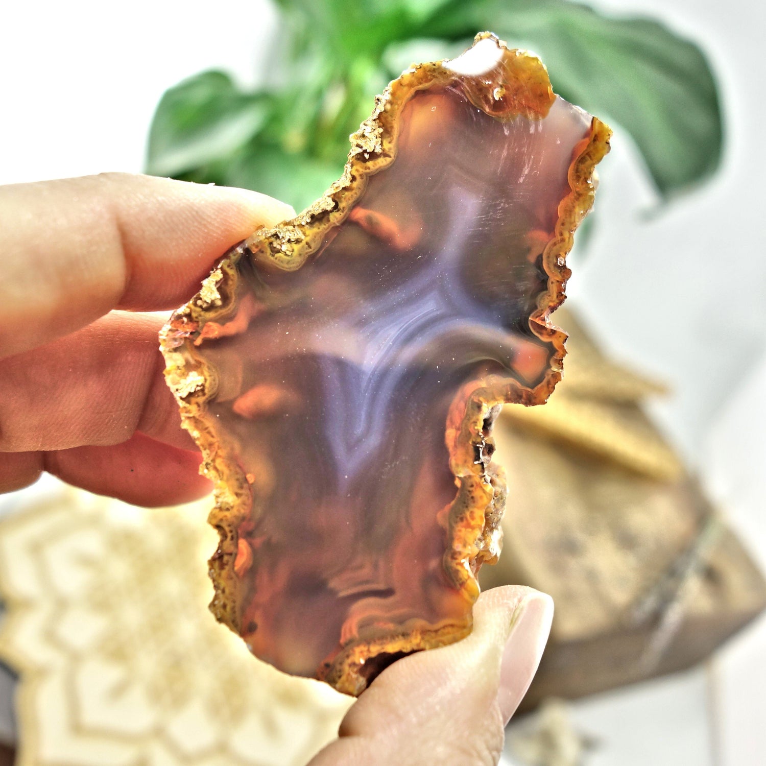  Deep Orange Condor Agate Partially Polished Specimen