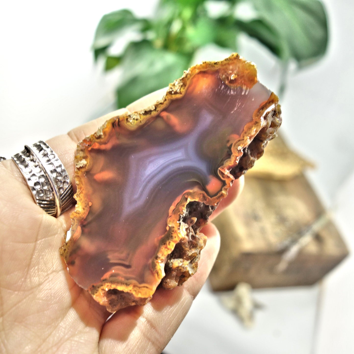  Deep Orange Condor Agate Partially Polished Specimen