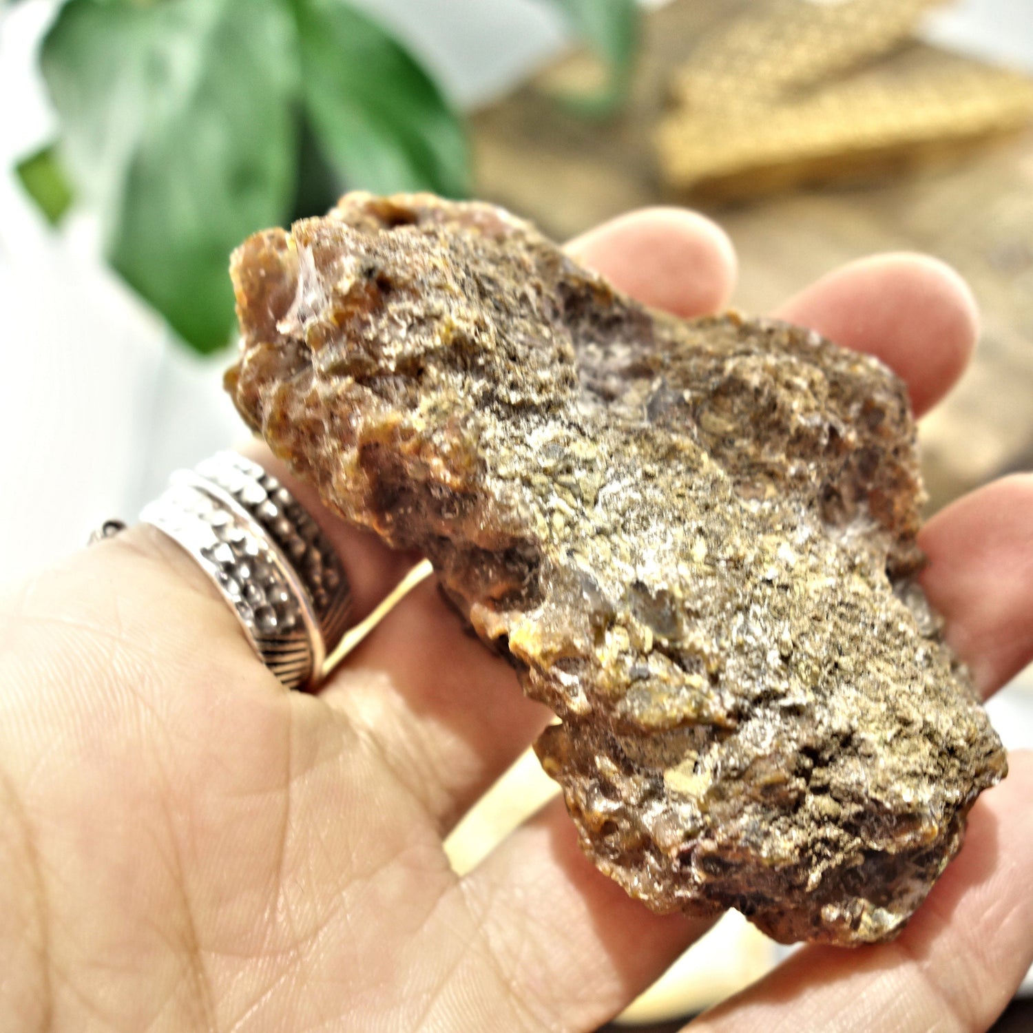  Deep Orange Condor Agate Partially Polished Specimen