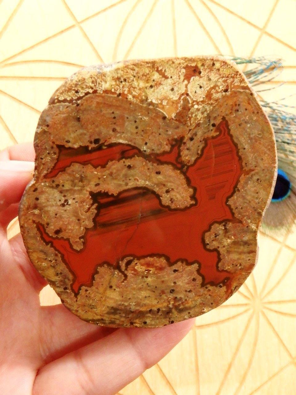  Chunky Australian Landscape Agate Partially Polished Specimen