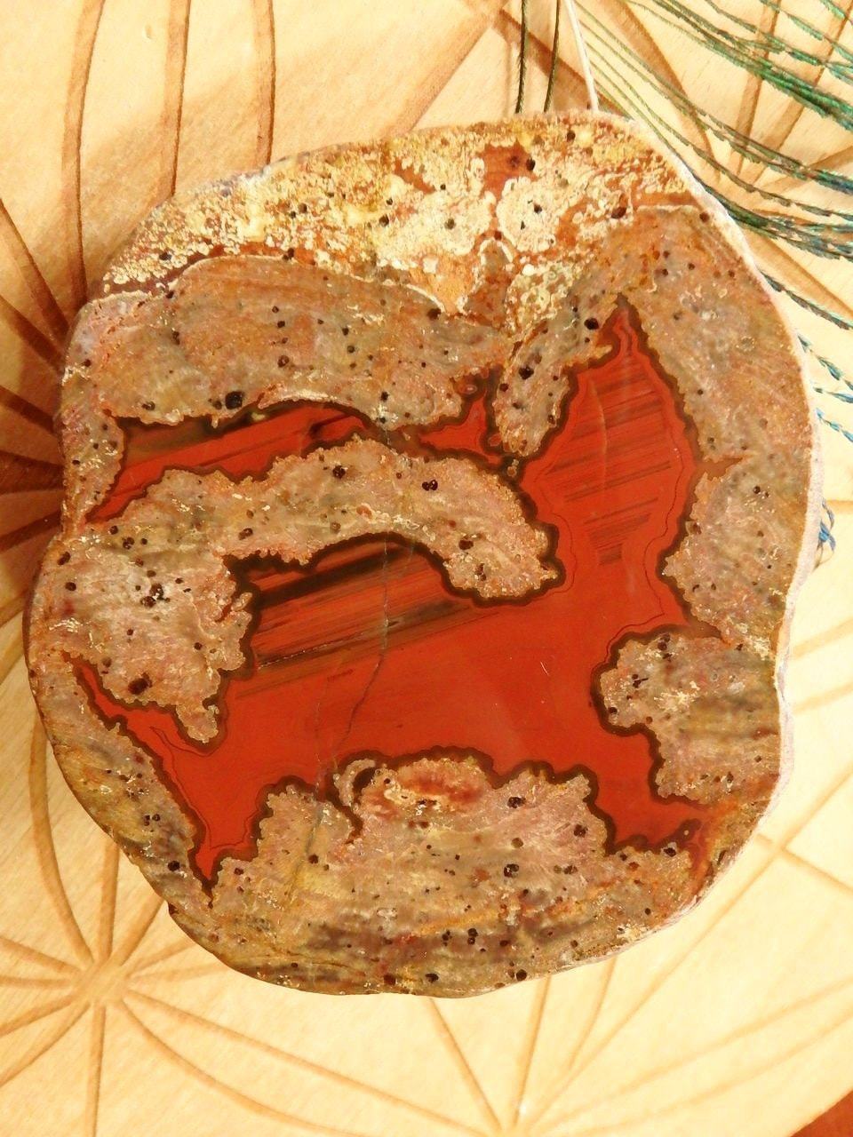  Chunky Australian Landscape Agate Partially Polished Specimen