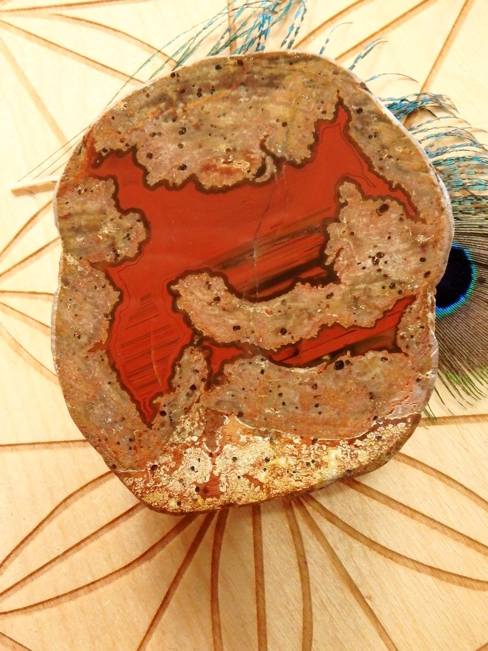  Chunky Australian Landscape Agate Partially Polished Specimen