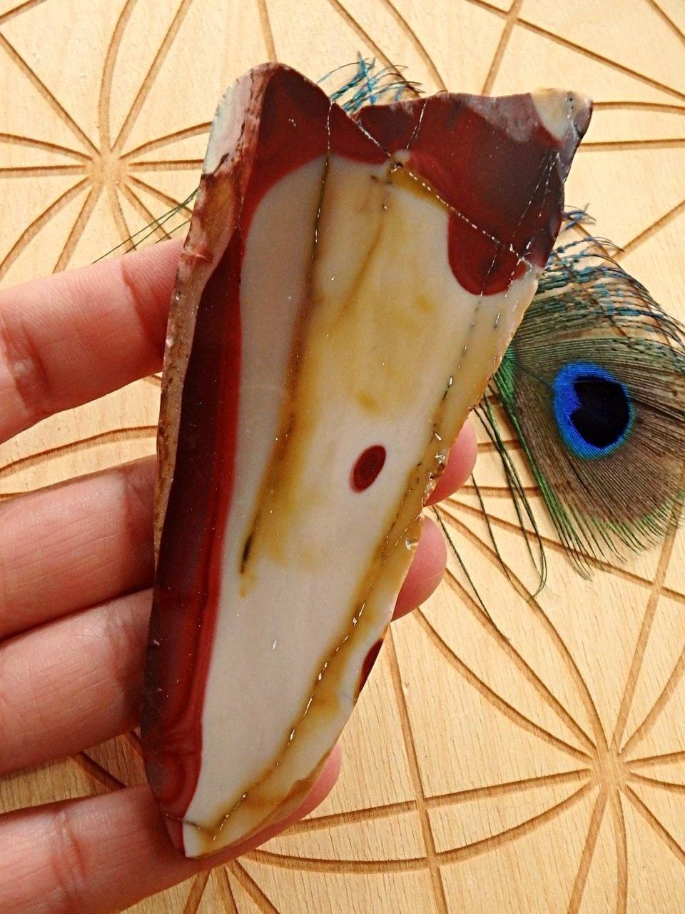 Bold Earthy Australian Mookaite Jasper Partially Polished Specimen
