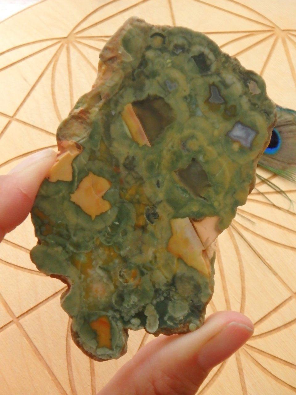  Australian Rainforest Jasper (Spherulitic Rhyolite ) Partially Polished Specimen From Mnt Hay