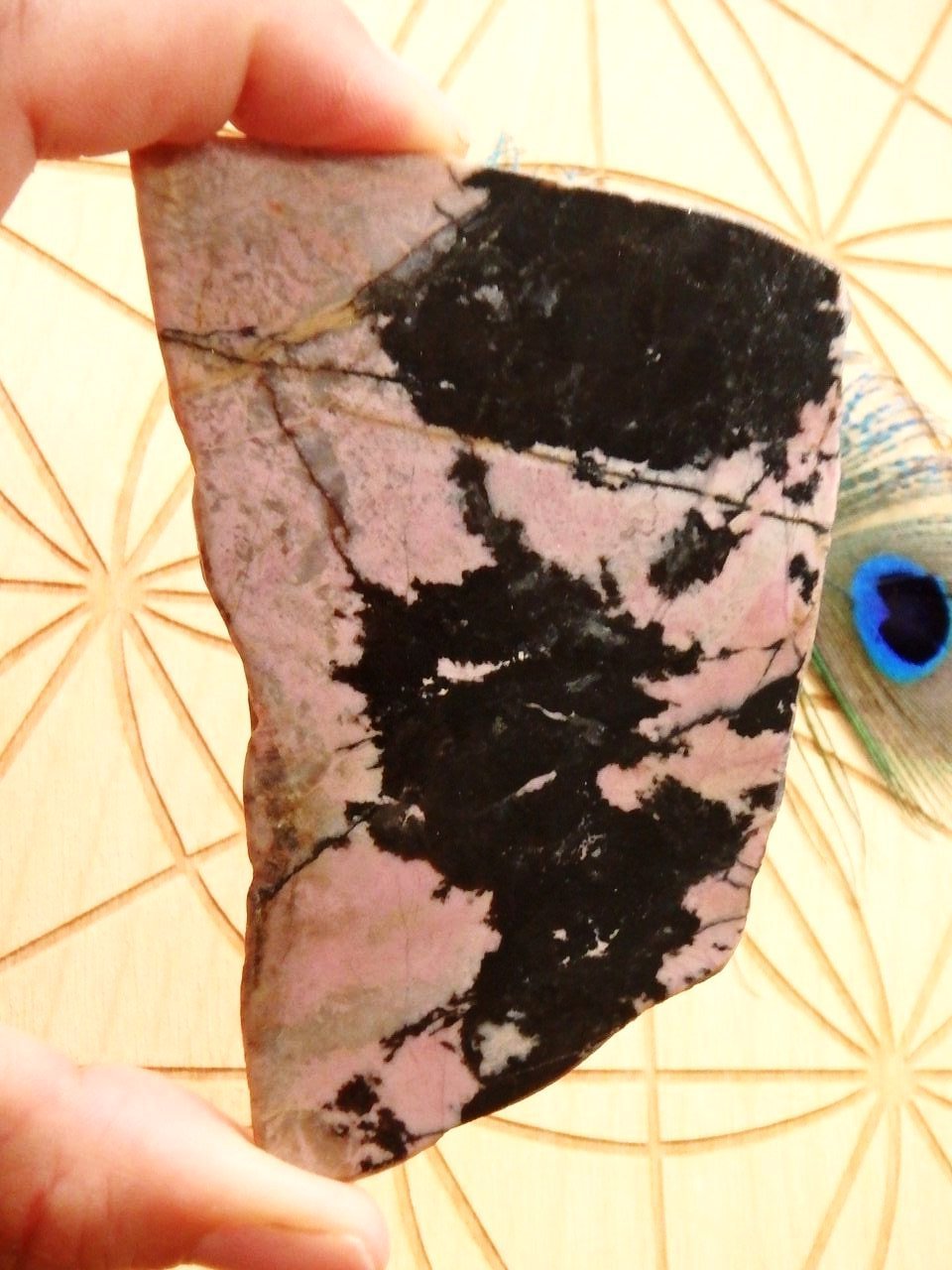Lovely 2 Tone Australian Rhodonite Partially Polished Free Form Specimen - Earth Family Crystals