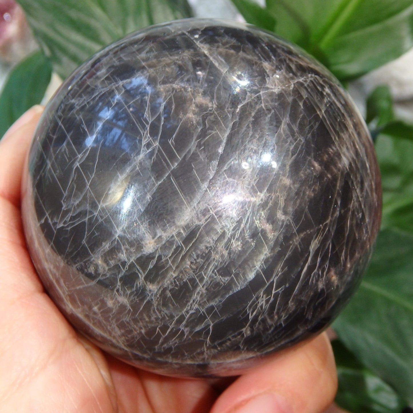 Hypnotic Rainbows & Sheen Large Black Moonstone Sphere Carving