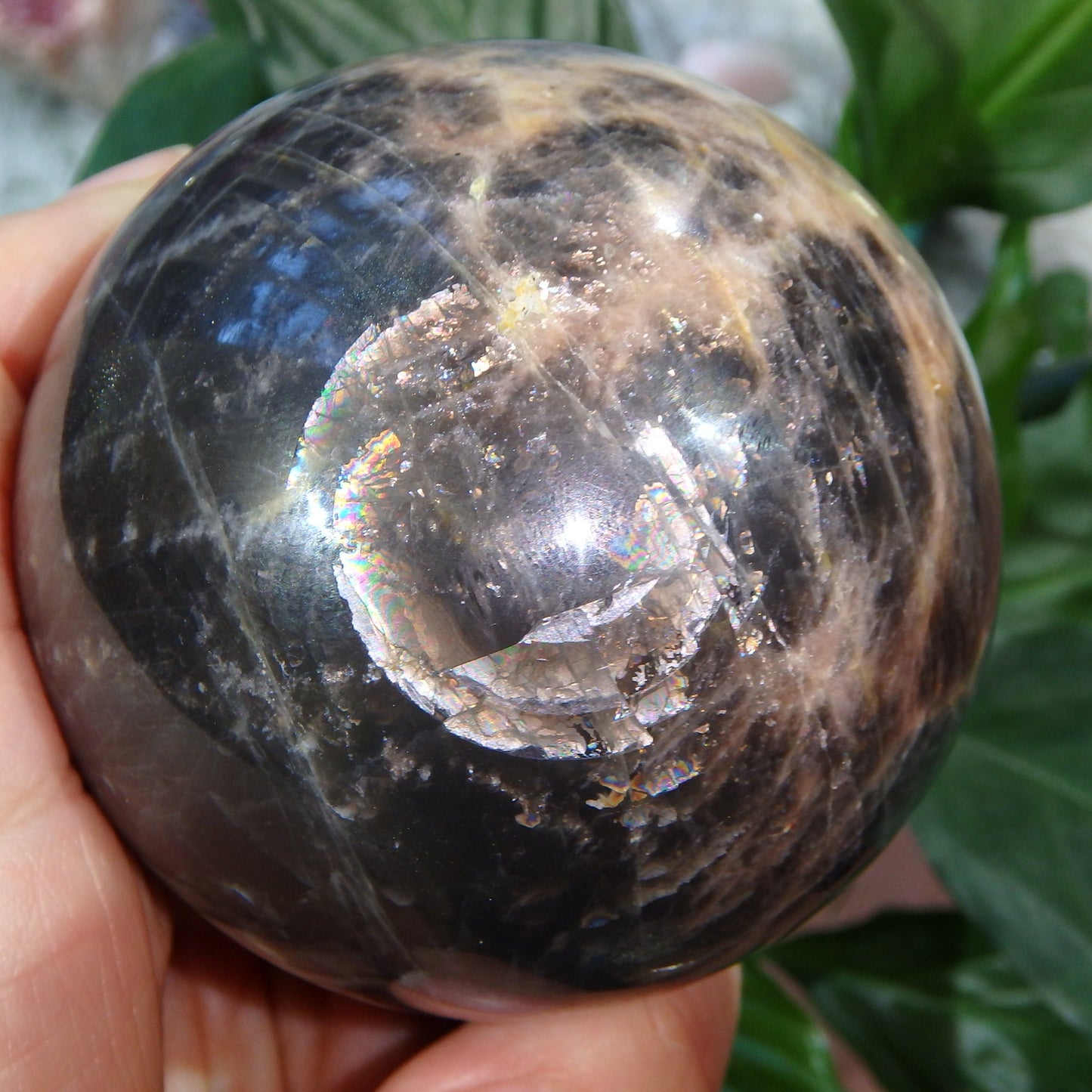 Hypnotic Rainbows & Sheen Large Black Moonstone Sphere Carving