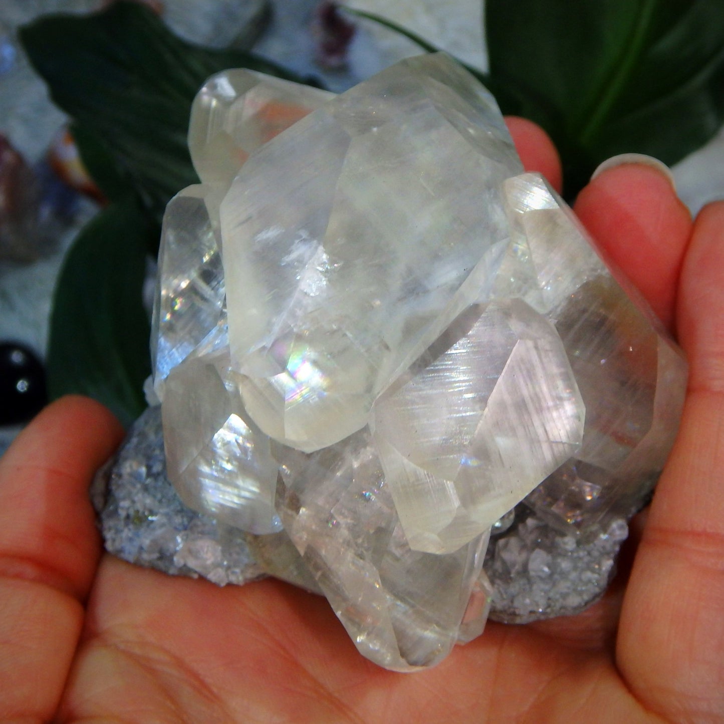 Incredible Rainbows Perfect DT Multi Point Golden Calcite Collectors Specimen From Linwood Mine, NY