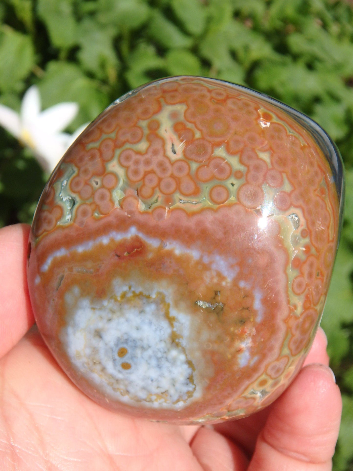  Creamy Orbs and Caves Madagascar Ocean Jasper Specimen