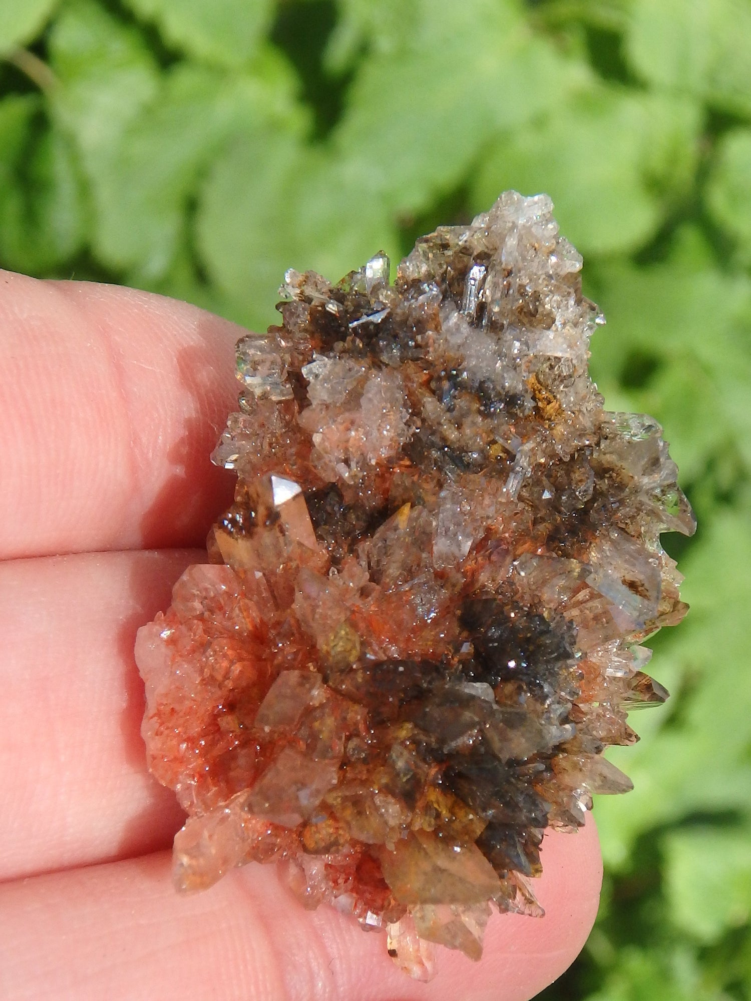 Gorgeous Sparkle Halloween Orange & Black Contrast Creedite From Mexico - Earth Family Crystals