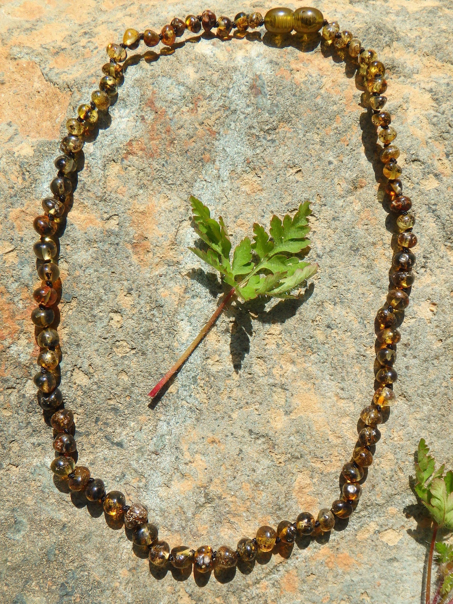  Earthy Green Lithuanian Baltic Amber Adult Necklace