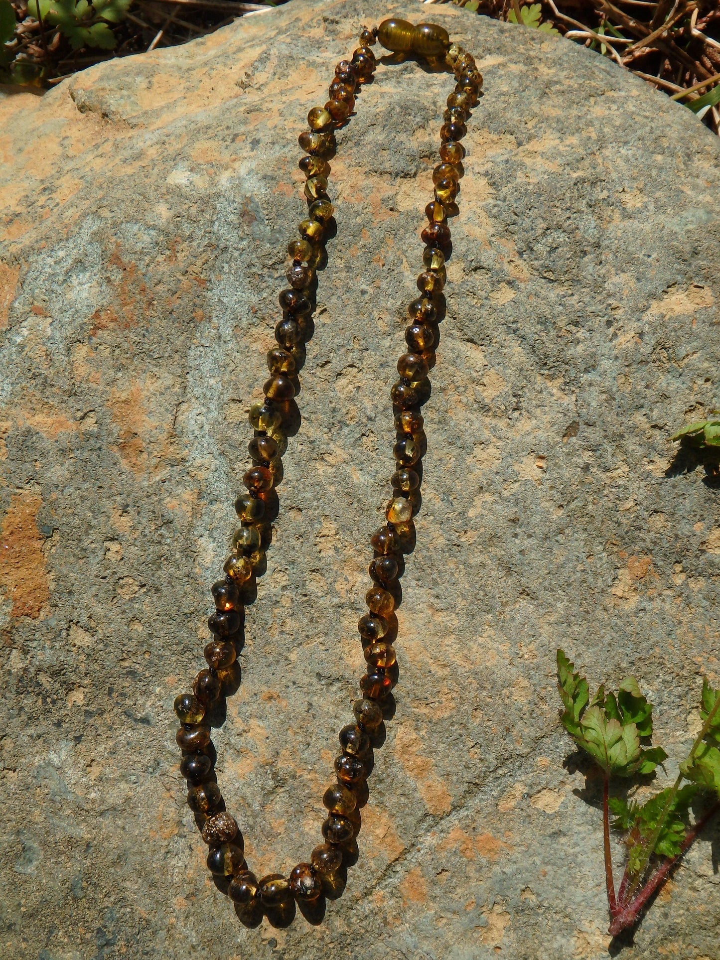  Earthy Green Lithuanian Baltic Amber Adult Necklace