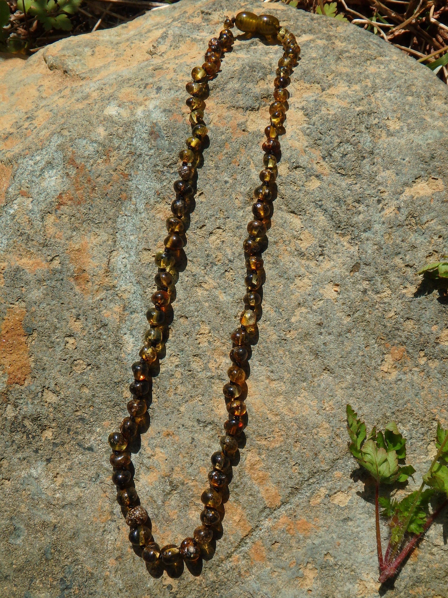  Earthy Green Lithuanian Baltic Amber Adult Necklace