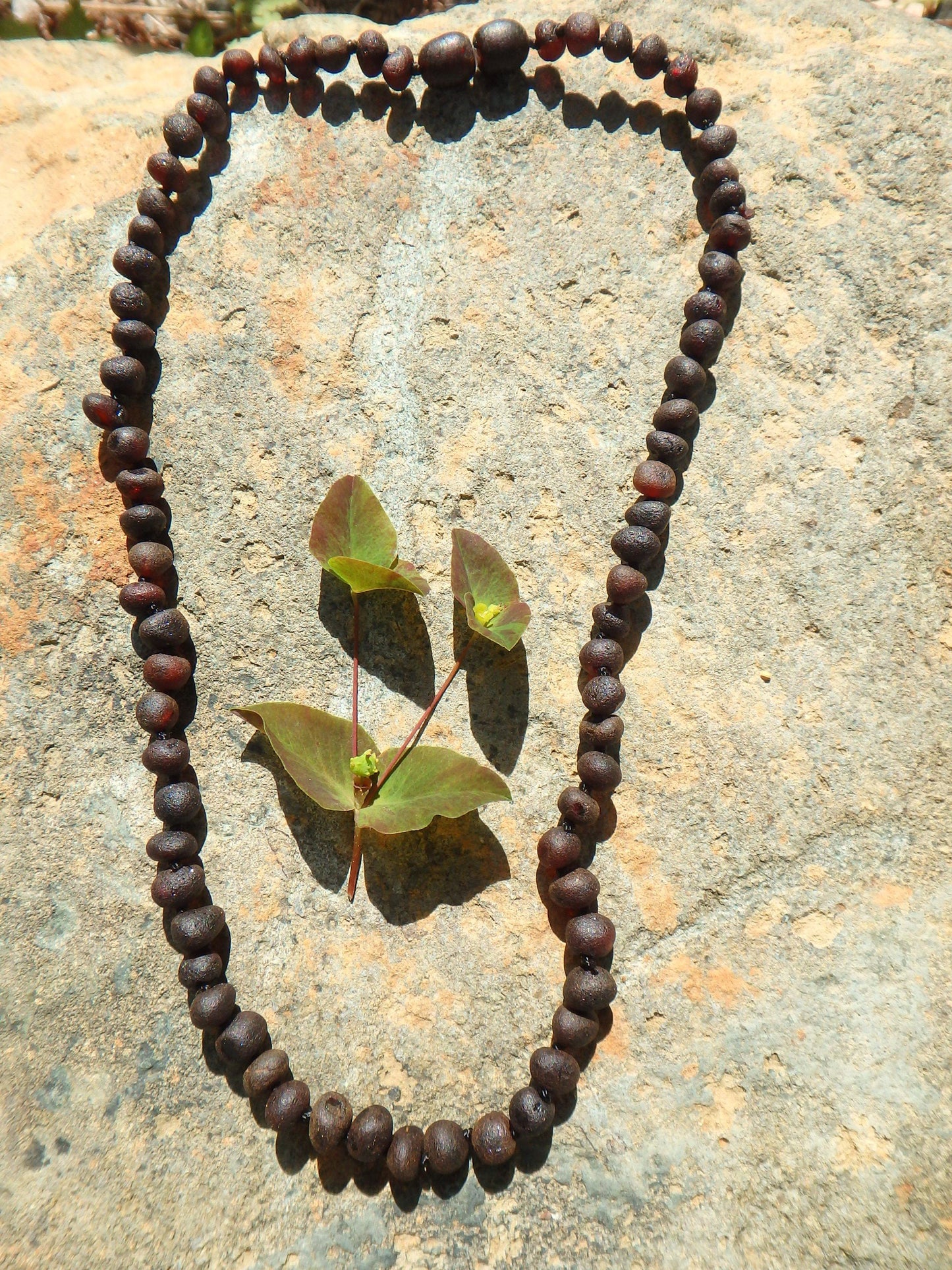  Deep Burgundy Unpolished Lithuanian Baltic Amber Adult Necklace With Rounded Beads