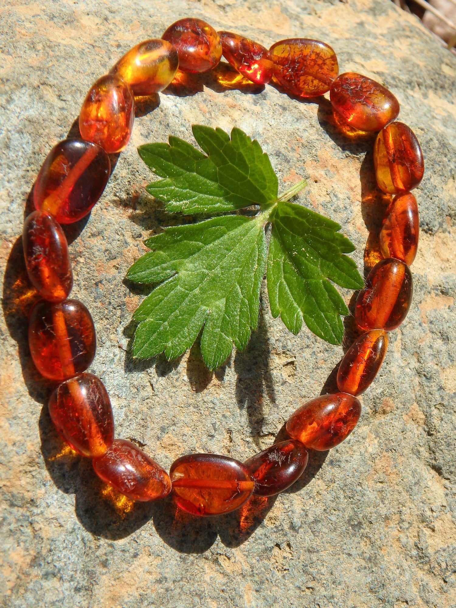  Cognac Lithuanian Baltic Amber Bracelet on Stretchy Elastic