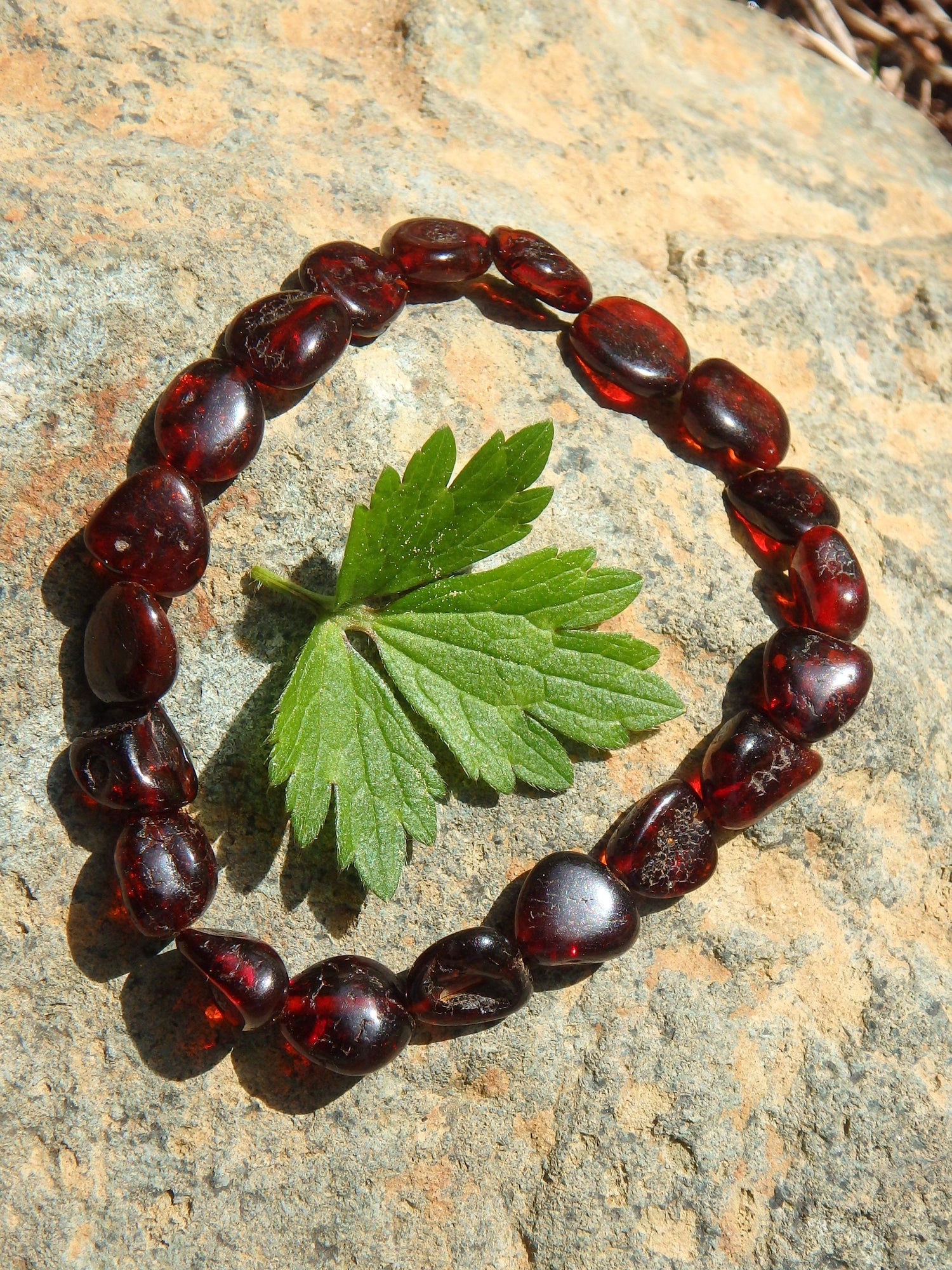  Dark Burgundy Bead Lithuanian Baltic Amber Bracelet on Stretchy Elastic