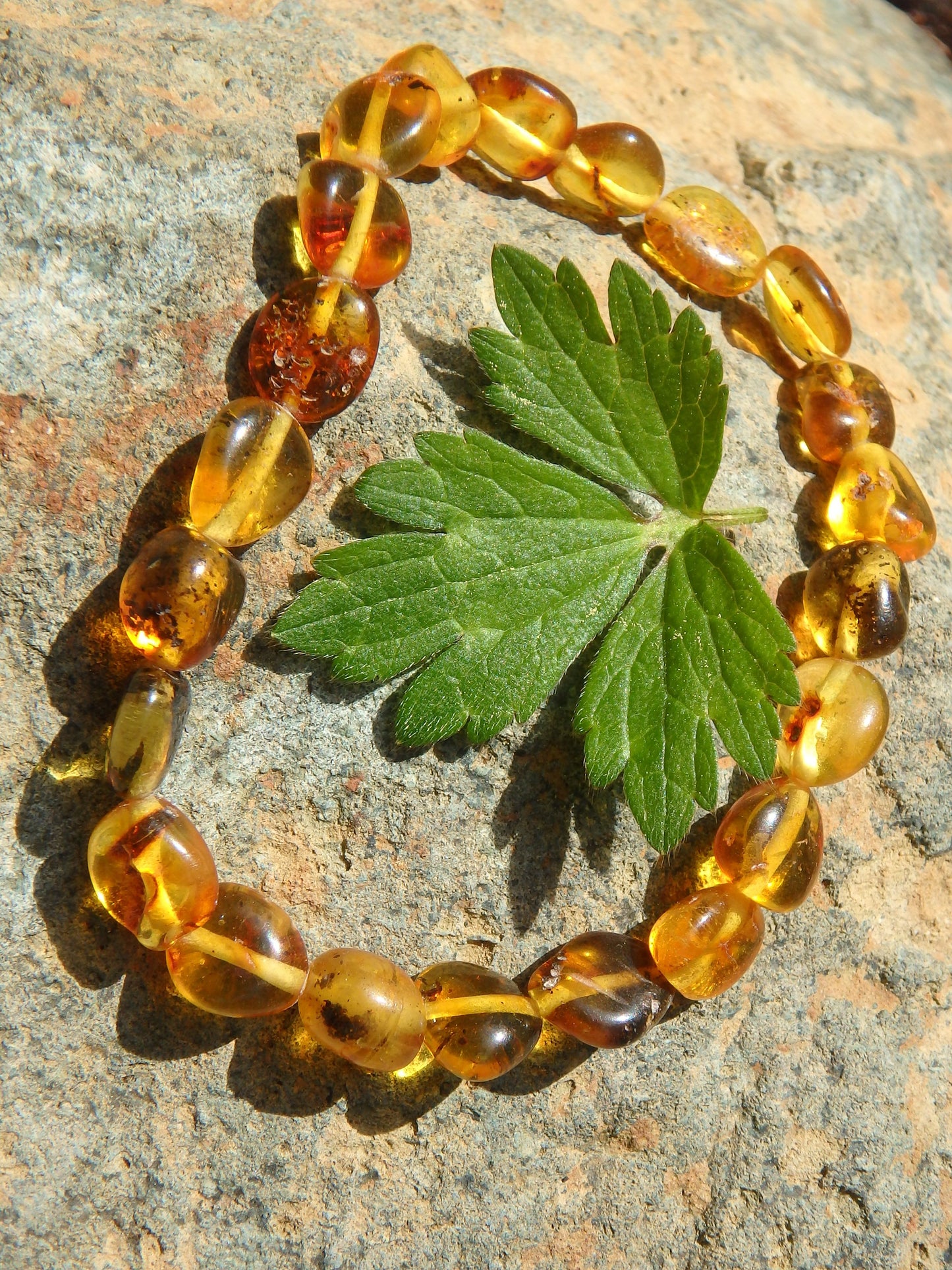 Lemon Bead Lithuanian Baltic Amber Bracelet Stretchy Elastic - Earth Family Crystals