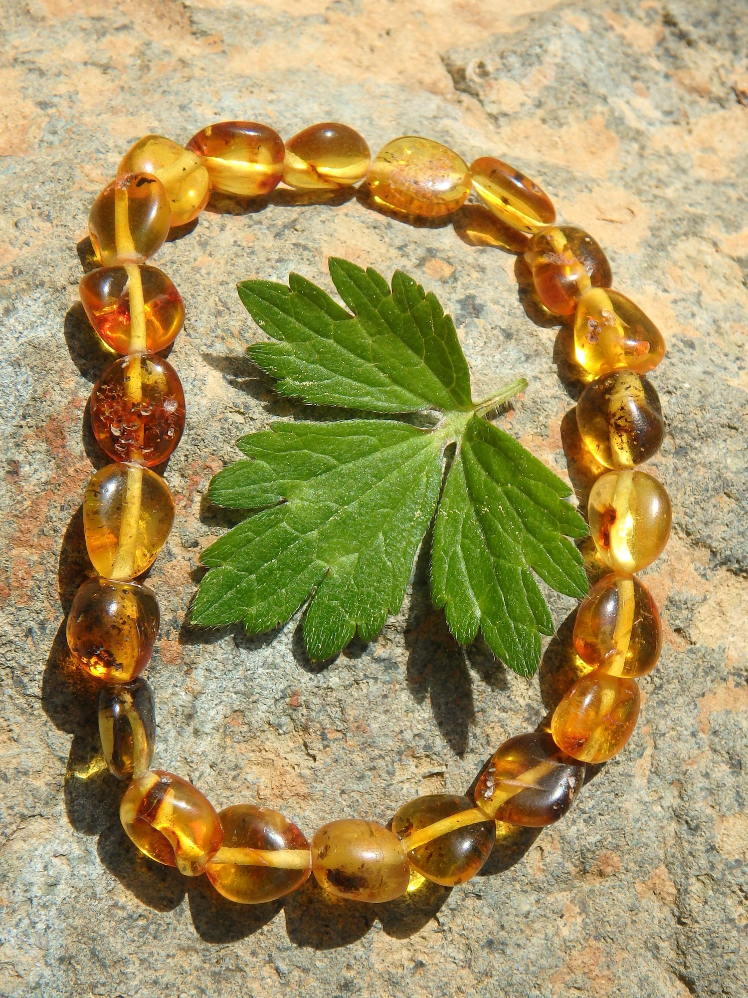 Lemon Bead Lithuanian Baltic Amber Bracelet Stretchy Elastic - Earth Family Crystals