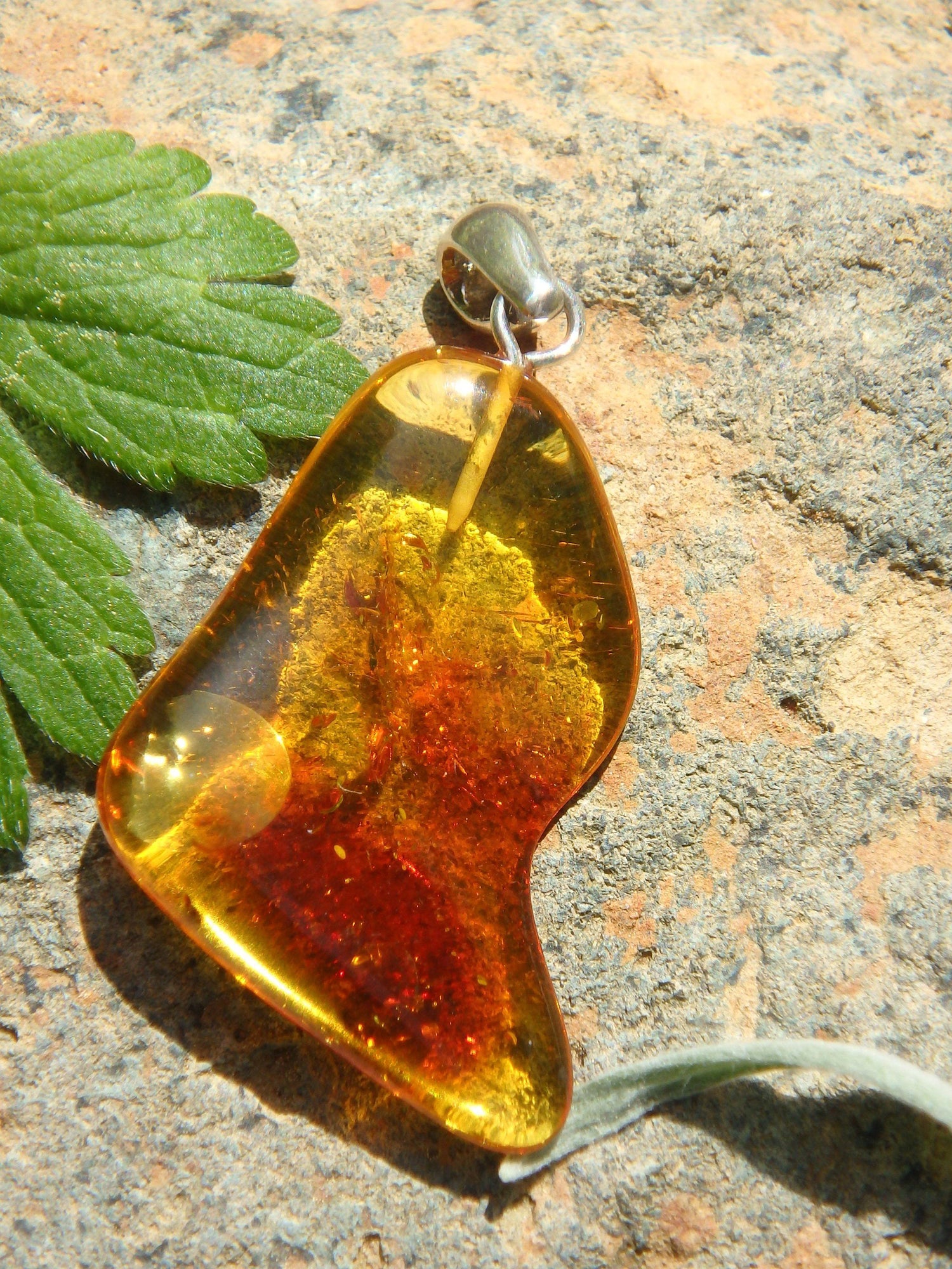  Cognac Lithuanian Baltic Amber Pendant in Sterling Silver ( Includes Silver Chain) 3