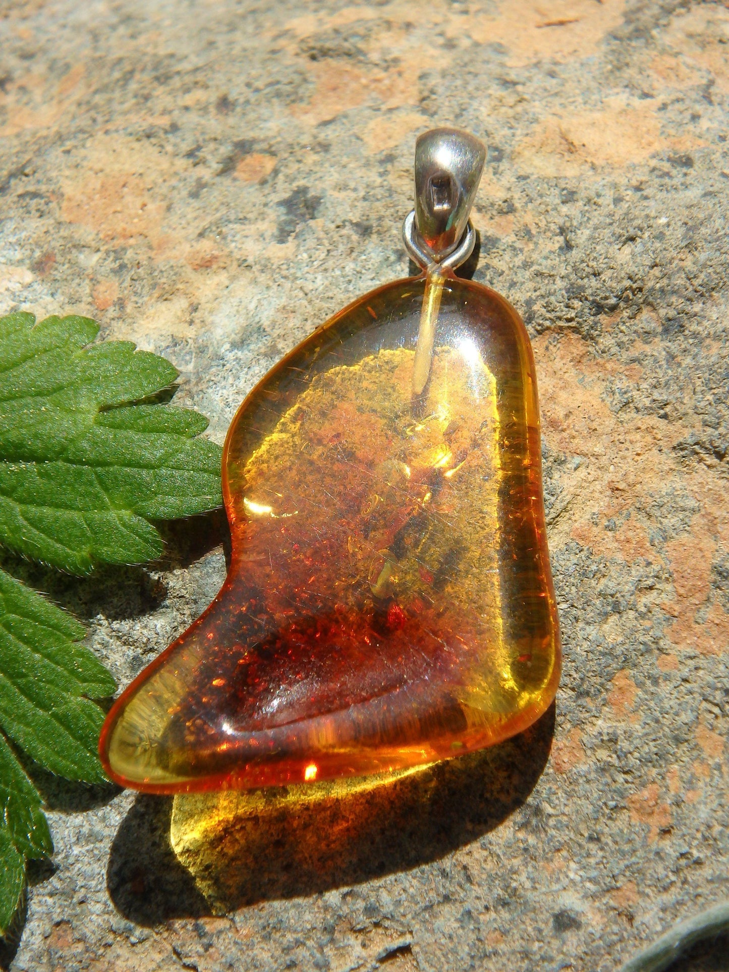  Cognac Lithuanian Baltic Amber Pendant in Sterling Silver ( Includes Silver Chain) 3