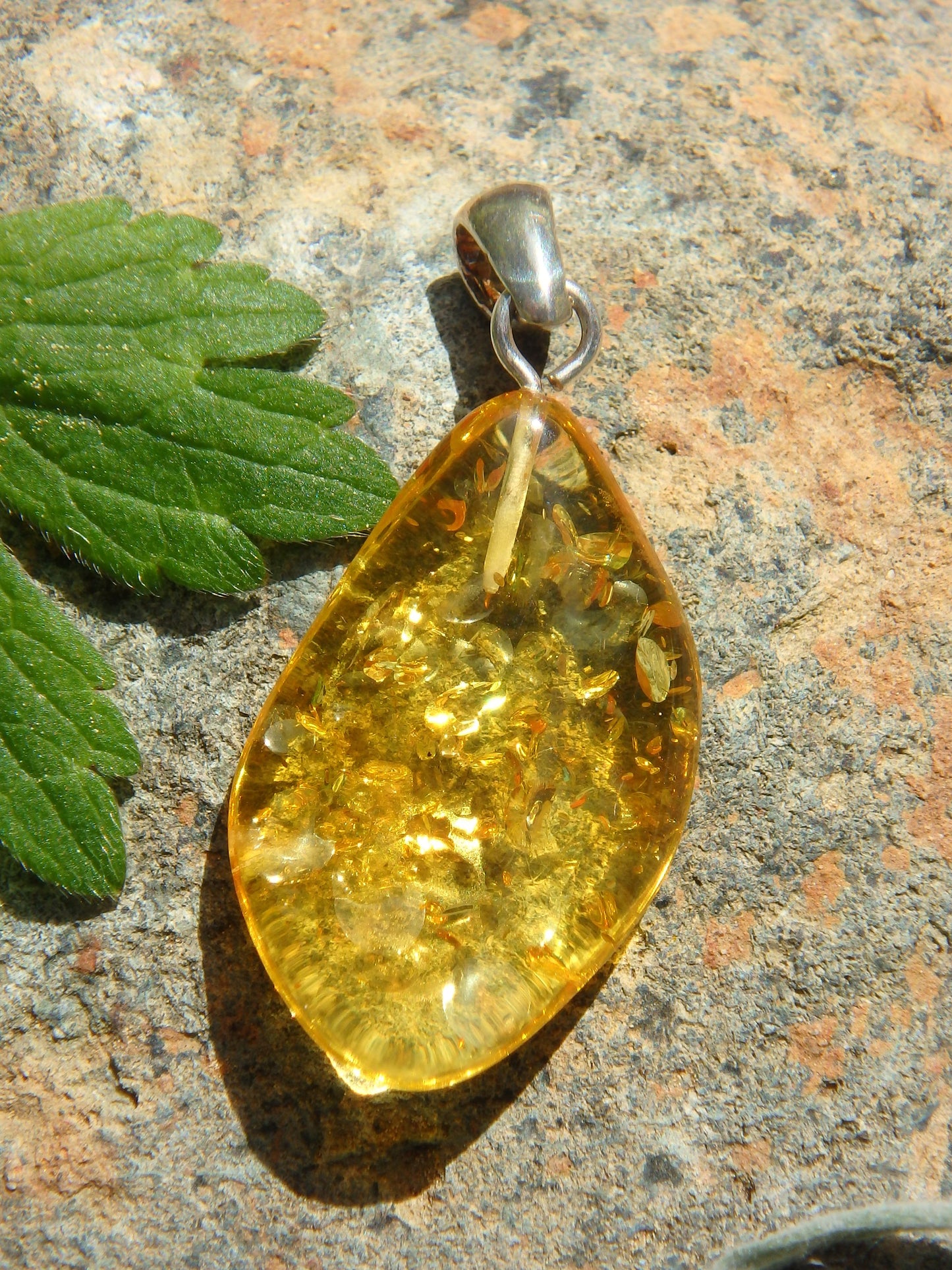 Lemon Lithuanian Baltic Amber Pendant in Sterling Silver ( Includes Silver Chain) - Earth Family Crystals
