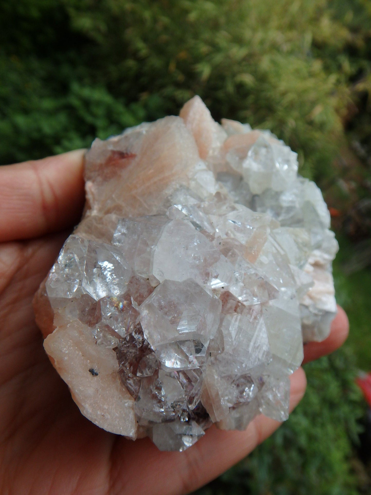  Breathtaking Brilliance~Large Clear Apophyllite & Pink Stilbite Cluster From India