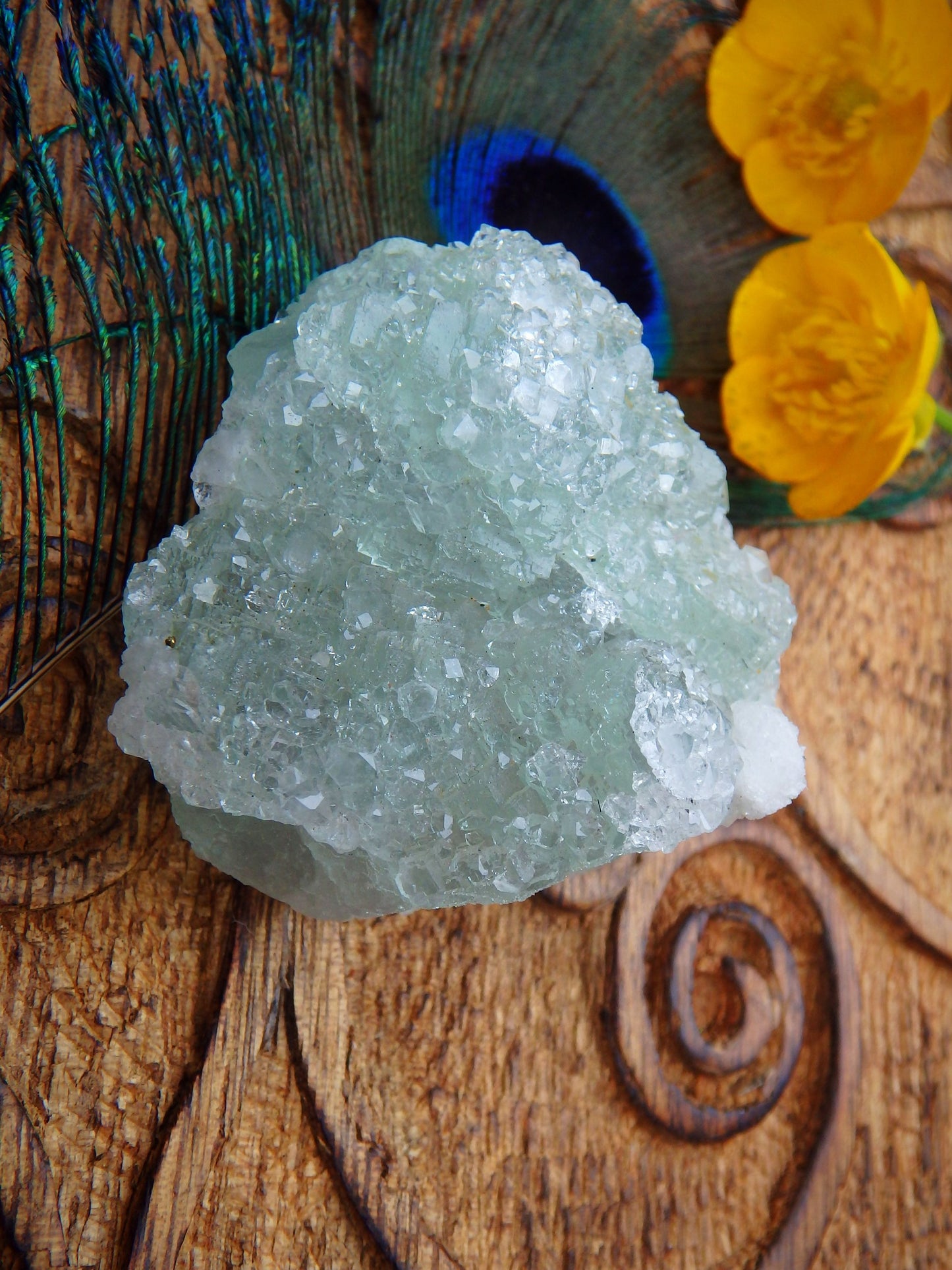 Shimmering Quartz Druzy Crusted Green Fluorite Natural Specimen - Metiz Tier Price