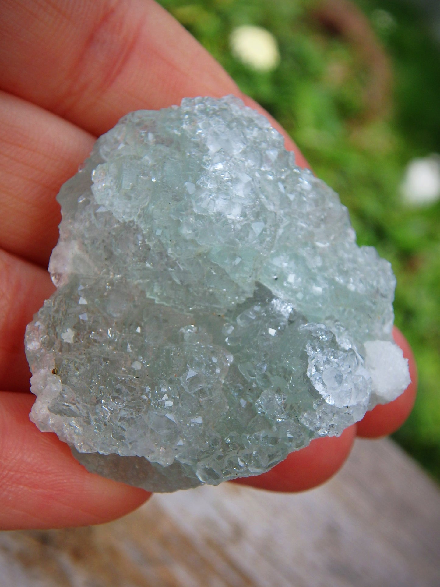 Shimmering Quartz Druzy Crusted Green Fluorite Natural Specimen - Metiz Tier Price