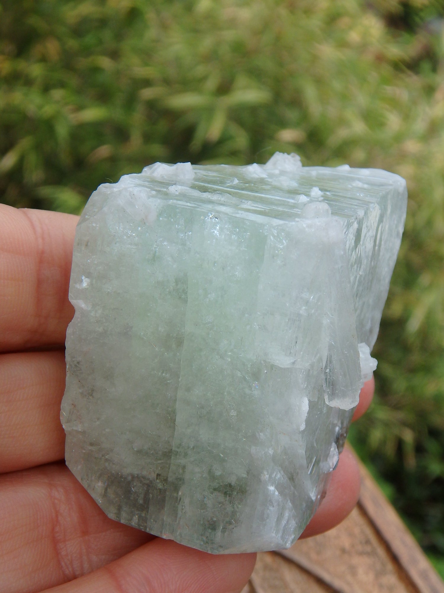 Rare Spring Green Apophyllite Natural Specimen From India - Metiz Tier Price