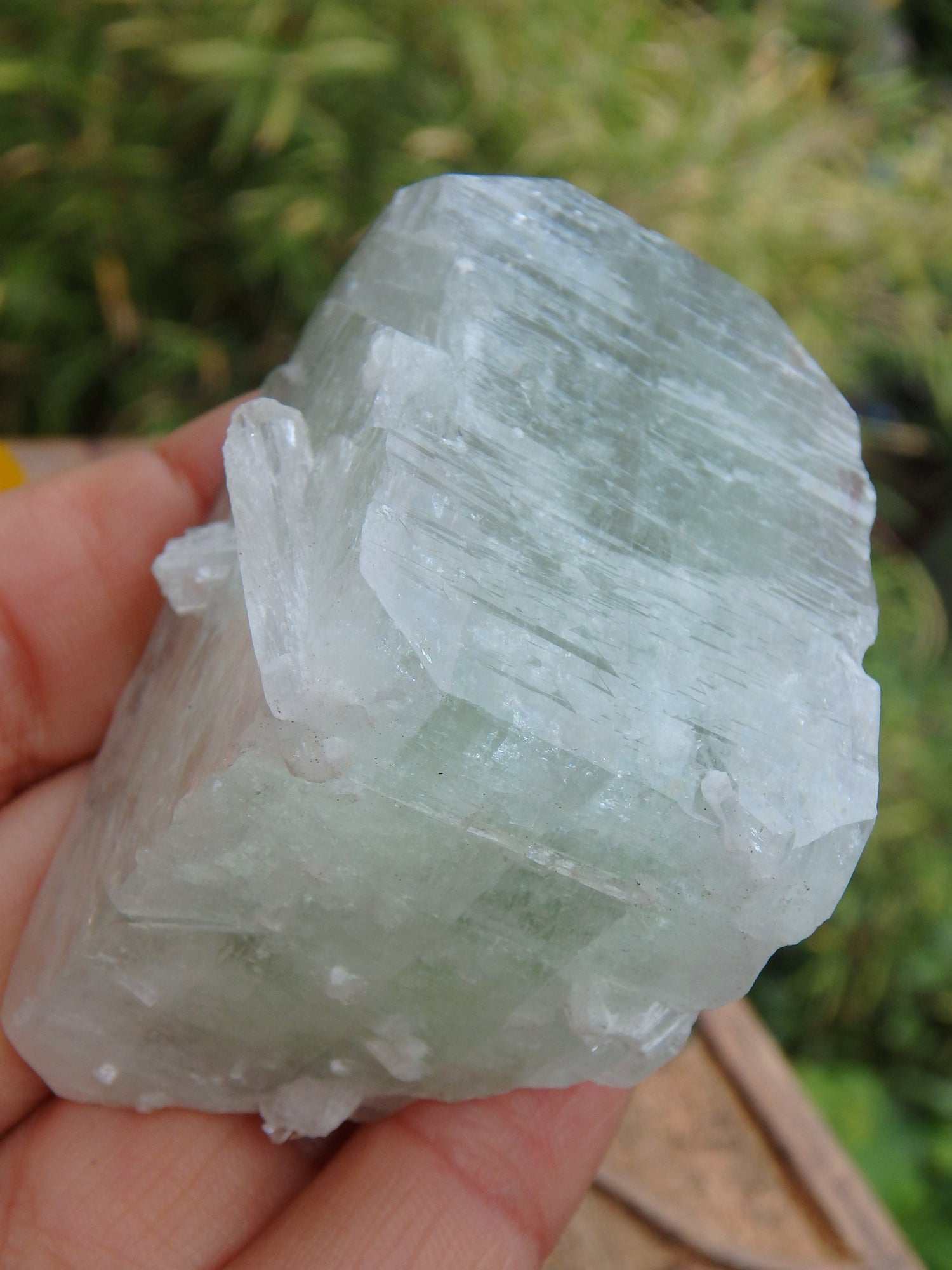 Rare Spring Green Apophyllite Natural Specimen From India - Metiz Tier Price