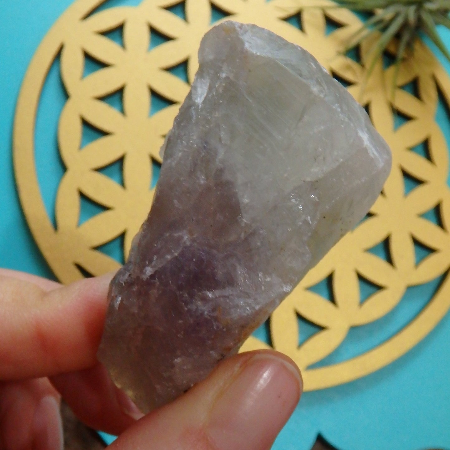 Rare Mint Green & Lilac Purple Auralite-23 Point From Ontario, Canada - Earth Family Crystals