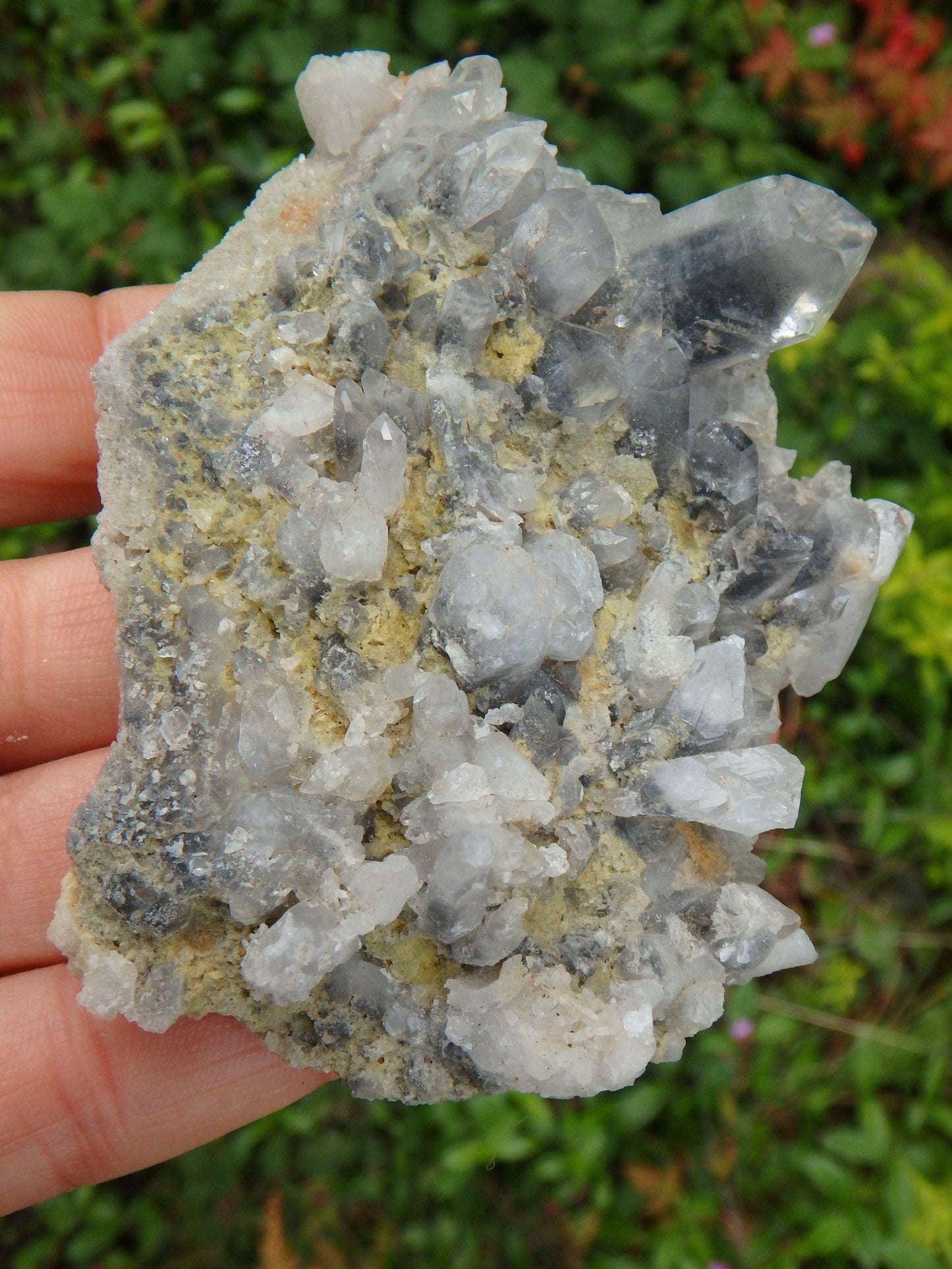  Arkansas Blue Phantom Multi Point Cluster Display Specimen 1