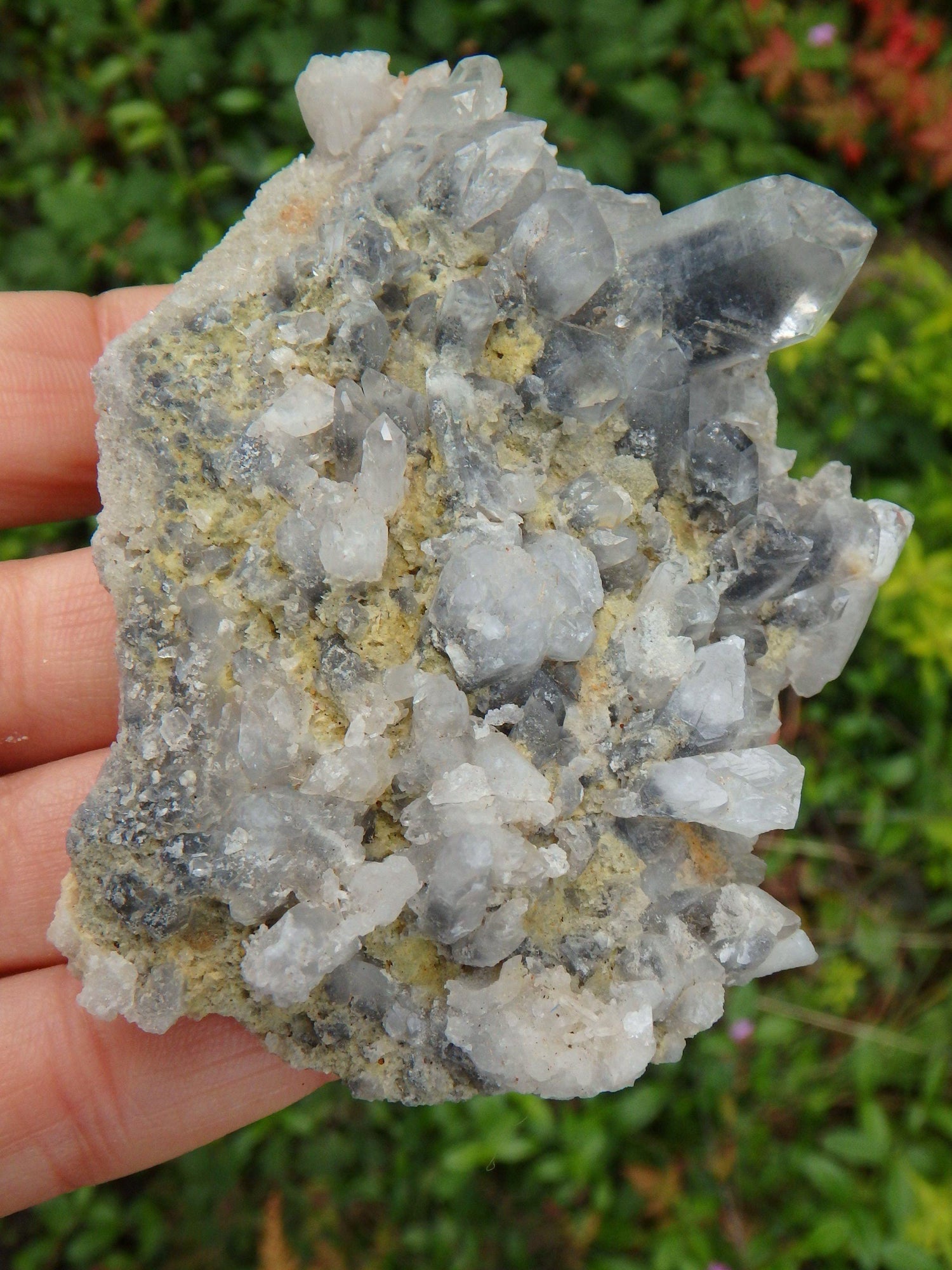  Arkansas Blue Phantom Multi Point Cluster Display Specimen 1
