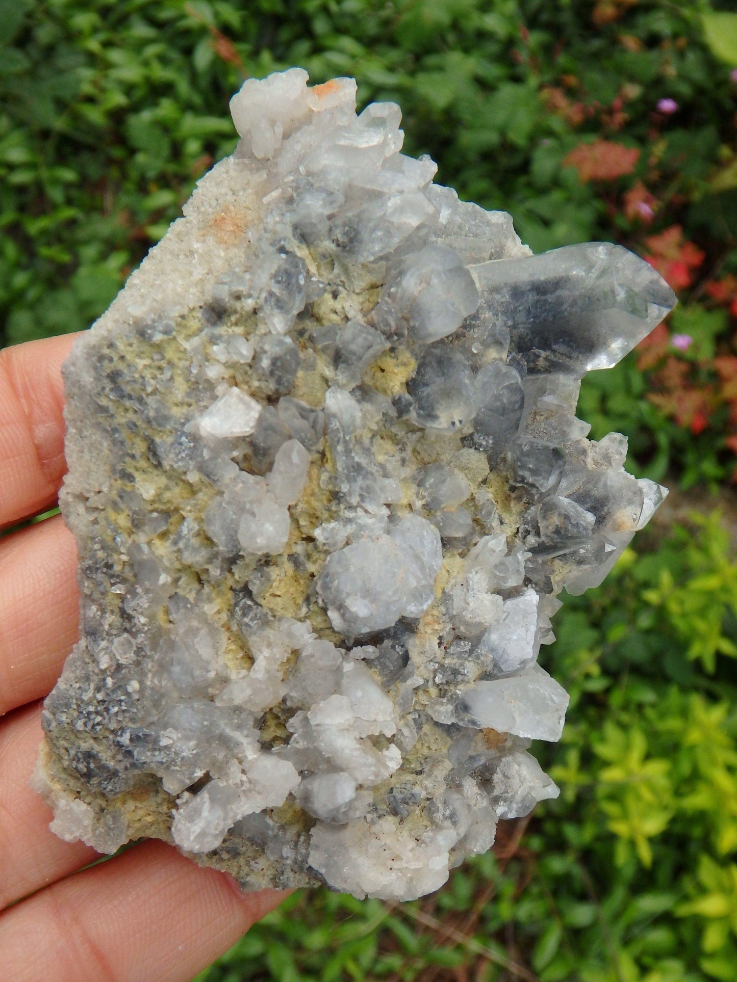  Arkansas Blue Phantom Multi Point Cluster Display Specimen 1