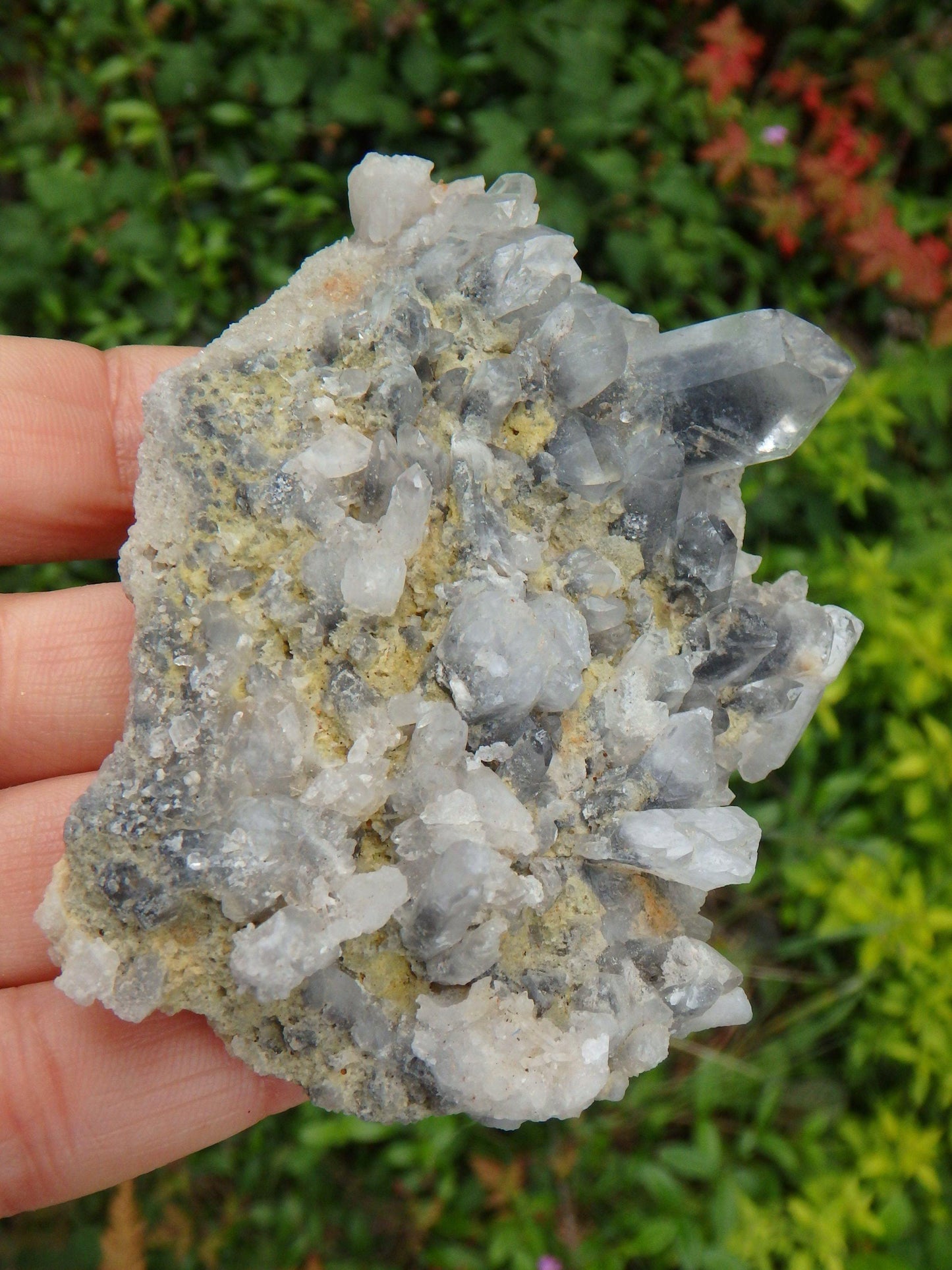  Arkansas Blue Phantom Multi Point Cluster Display Specimen 1