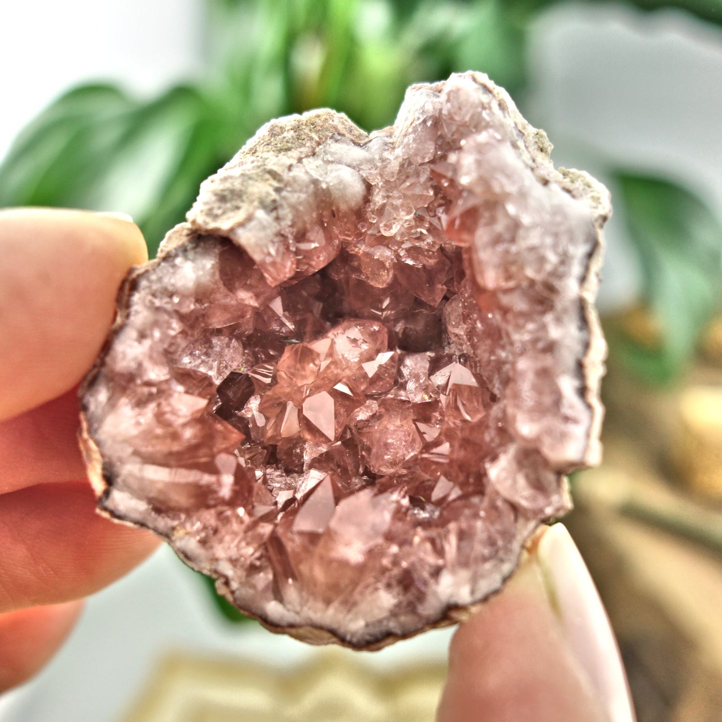 NEW FIND! Deep Pink Amethyst Druzy Geode Cluster From Patagonia - Earth Family Crystals