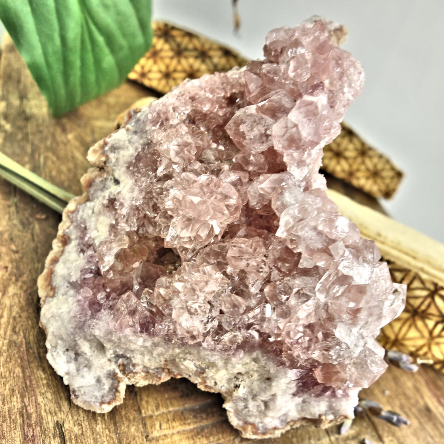 NEW FIND! Large Pretty Druzy Pink Amethyst  Cluster From Patagonia - Earth Family Crystals