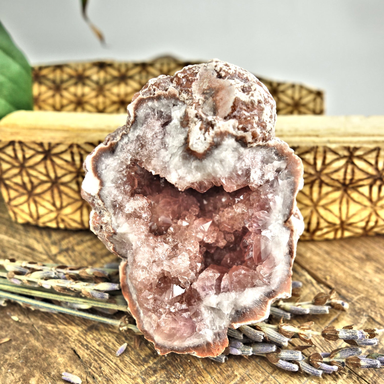NEW FIND! Extreme Sparkle Pink Amethyst Druzy Geode Cluster From Patagonia - Earth Family Crystals