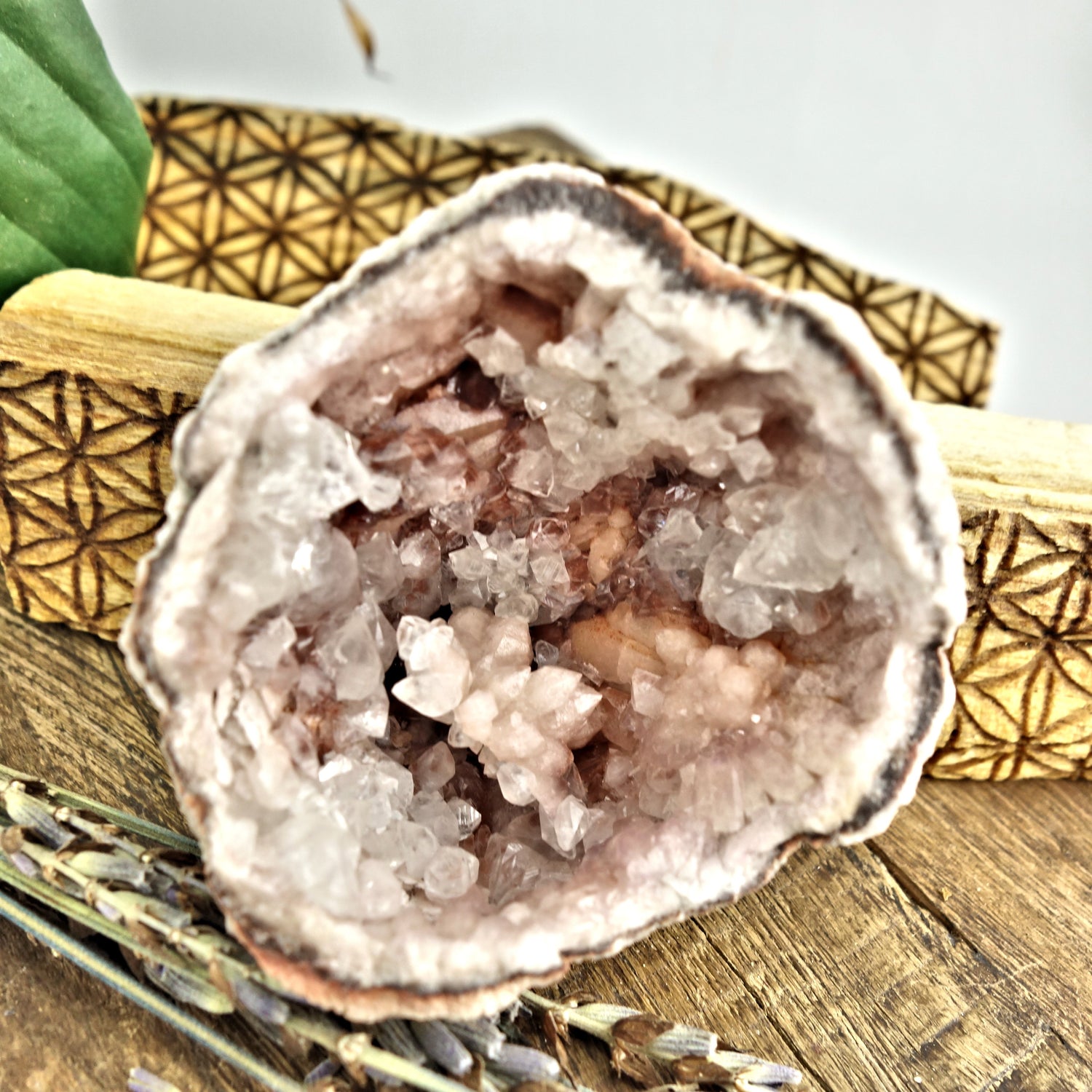 NEW FIND! Unique Pink Amethyst & Clear Calcite Druzy Geode Cluster From Patagonia - Earth Family Crystals